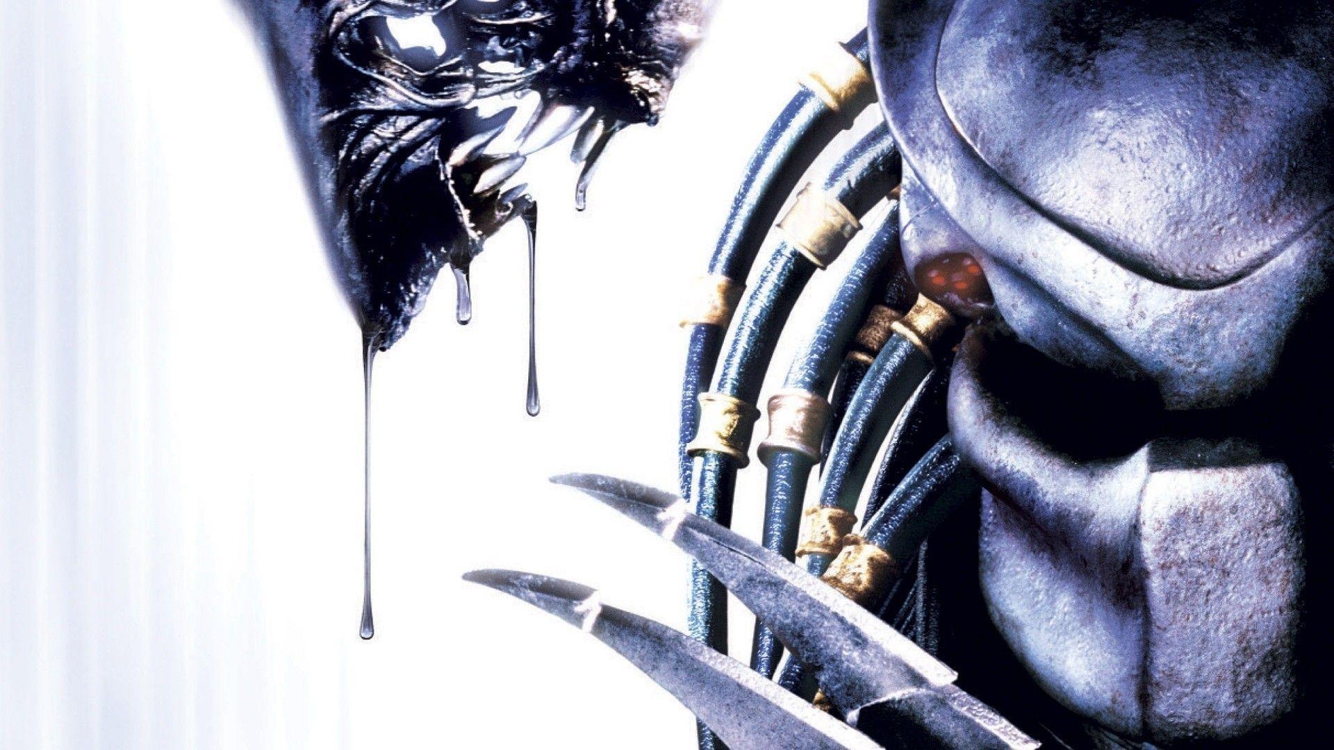 aliens vs predator wallpapers