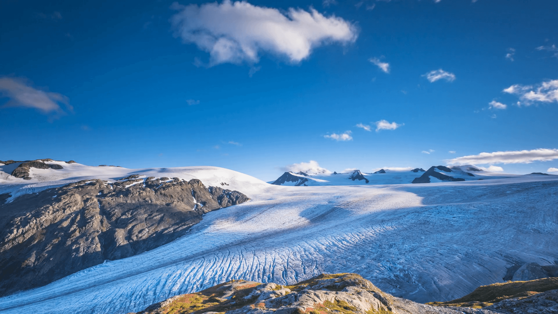 Exit Glacier and the Harding Icefield in Kenai Fjords National