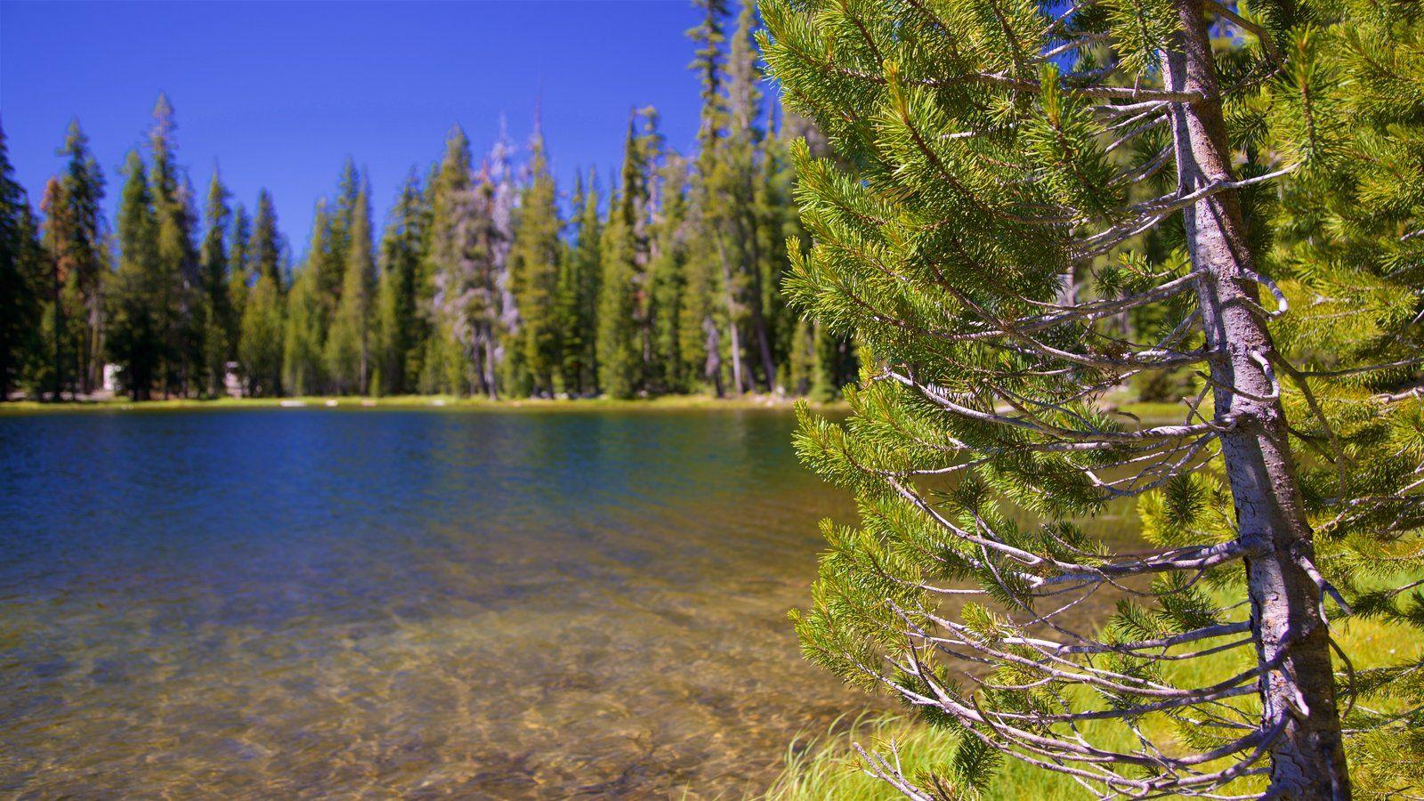 Lassen Volcanic National Park Pictures: View Photos & Image of