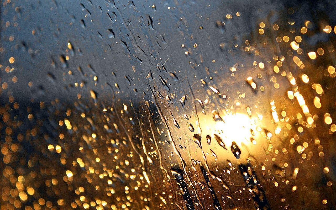 rain wallpapers