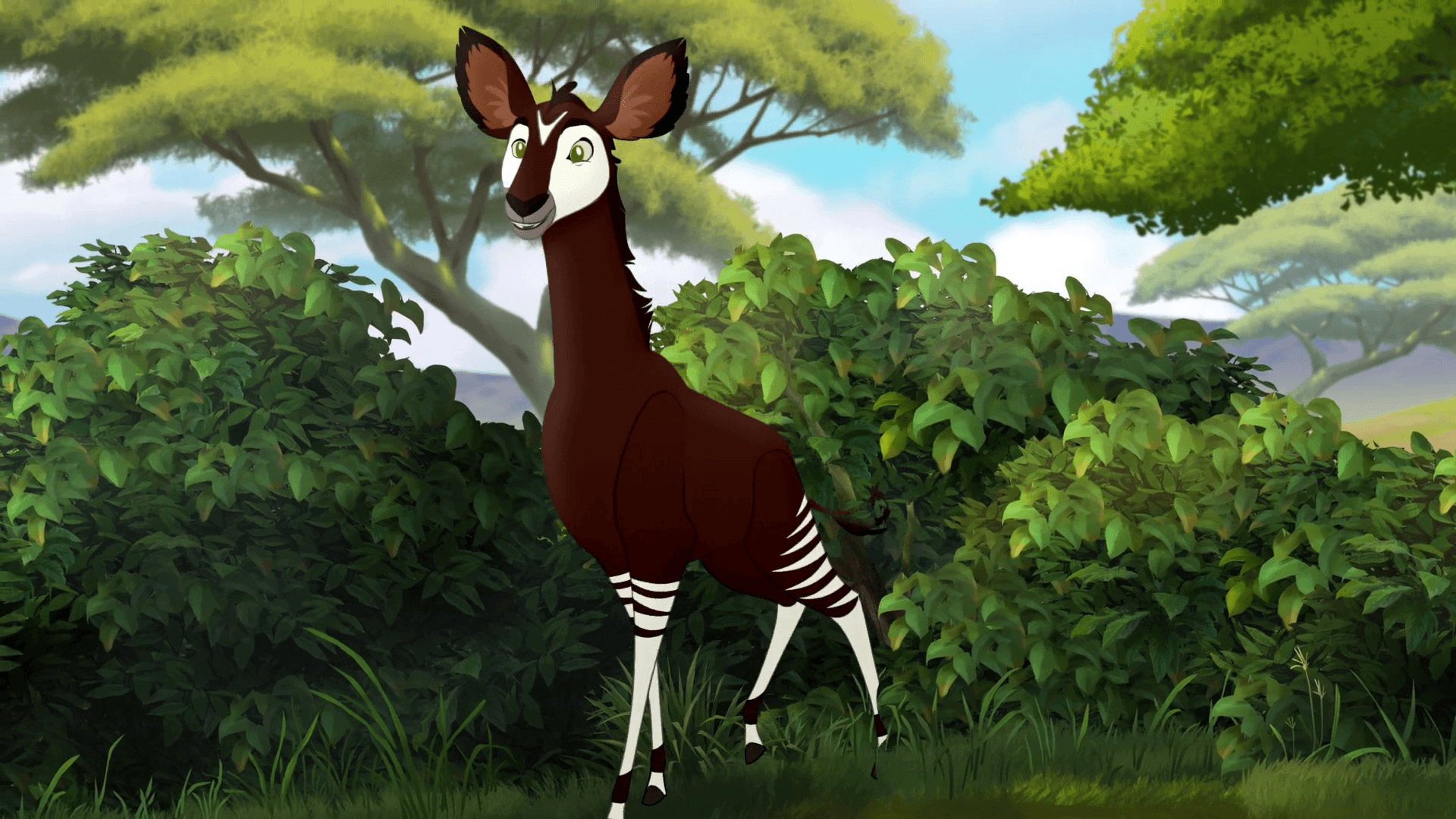 Okapis