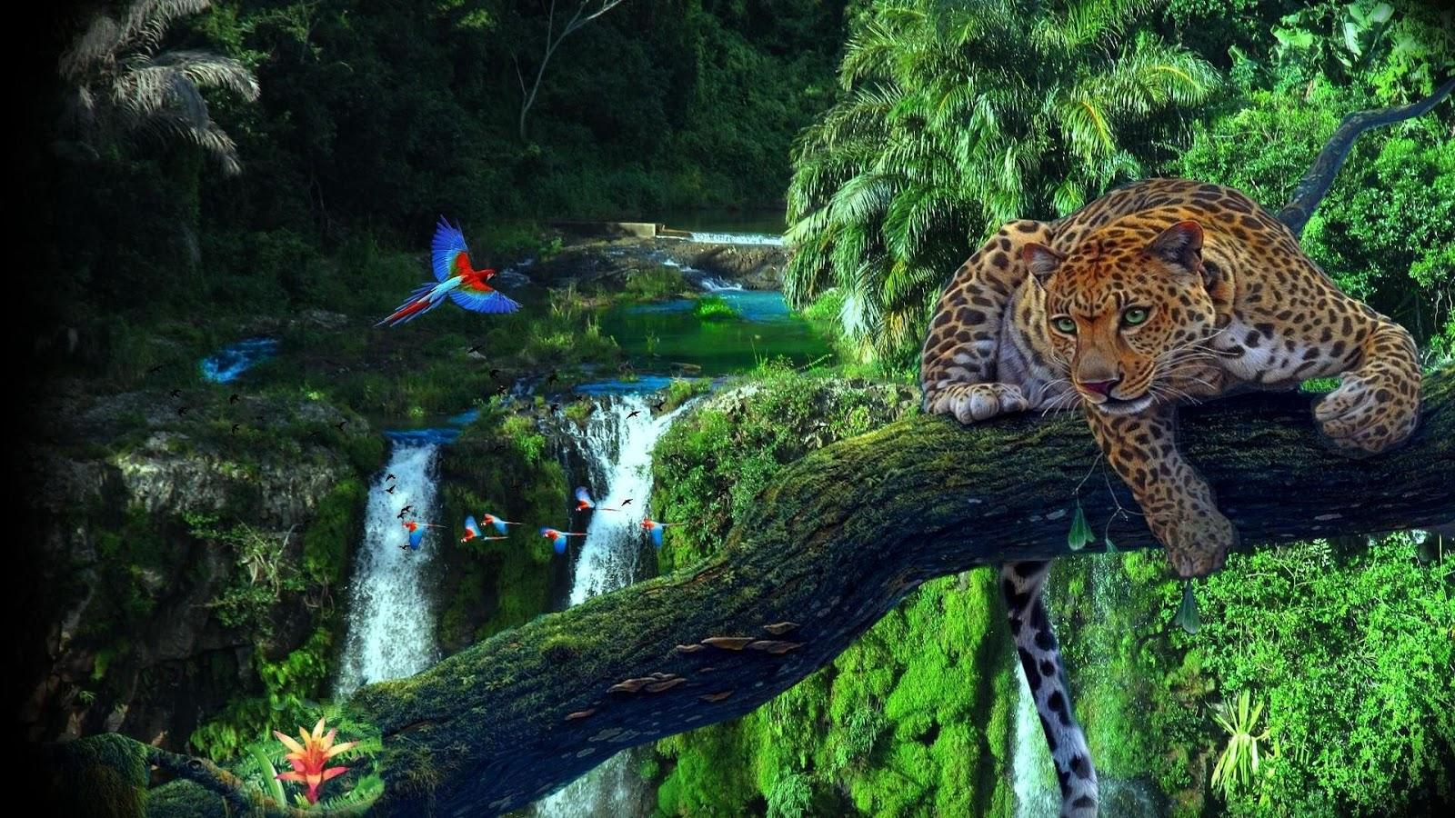 Amazon Jungle HD Wallpapers