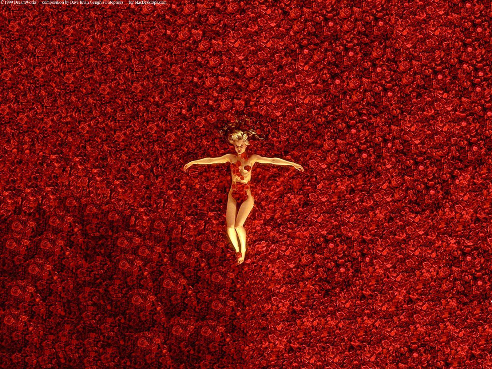 American Beauty Wallpapers 23