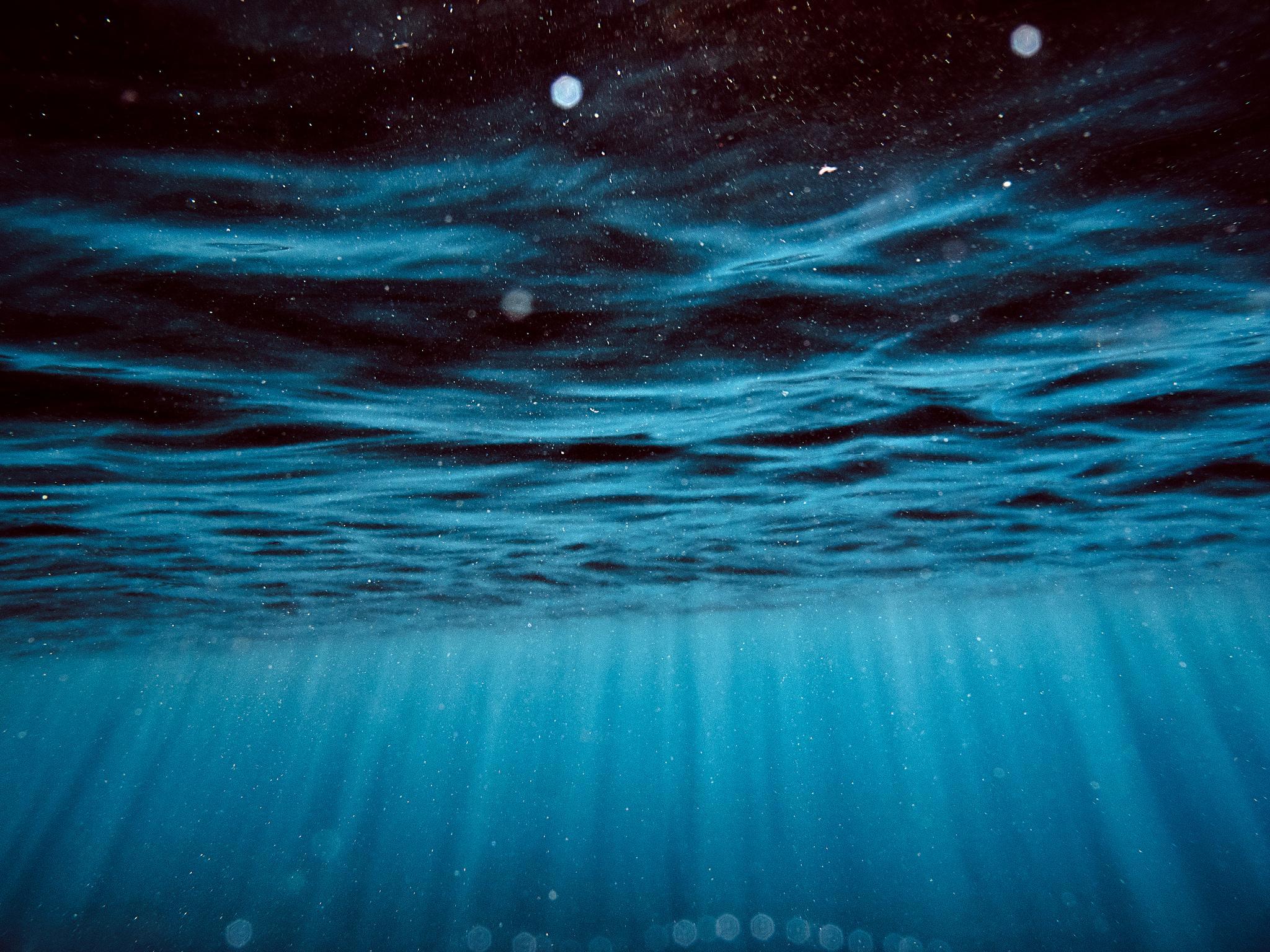 Underwater HD Wallpapers