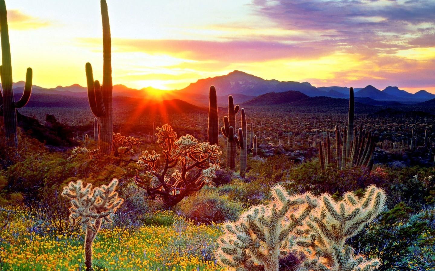 Arizona screensavers Gallery