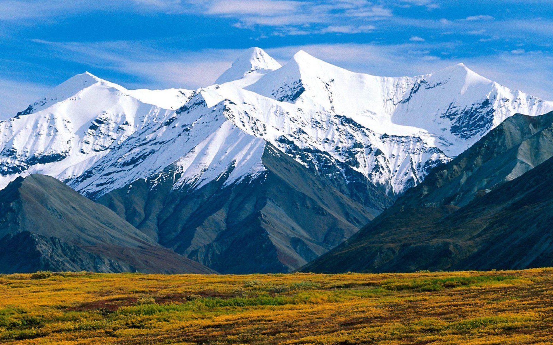 Denali National Park And Preserve 650088