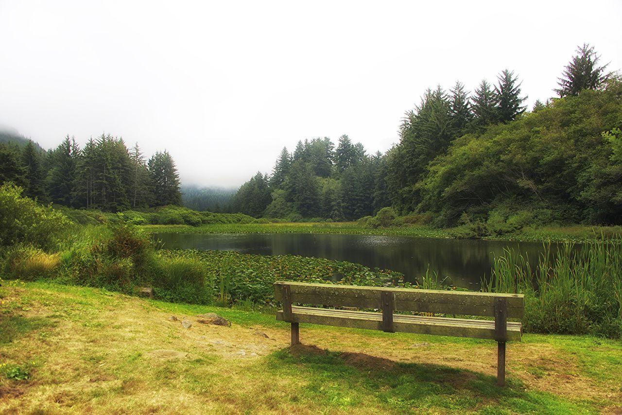 USA Redwood National and State Parks Nature Lake Grass Bench