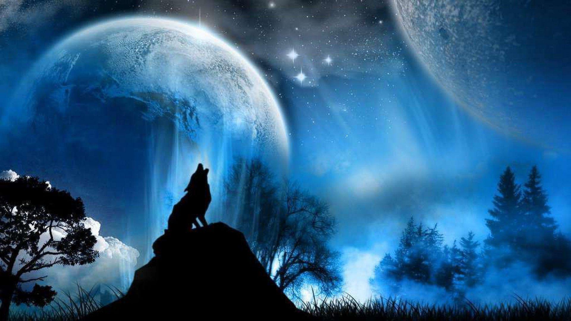 Wolf Wallpapers Hd 1080p Desktop Wallpapers