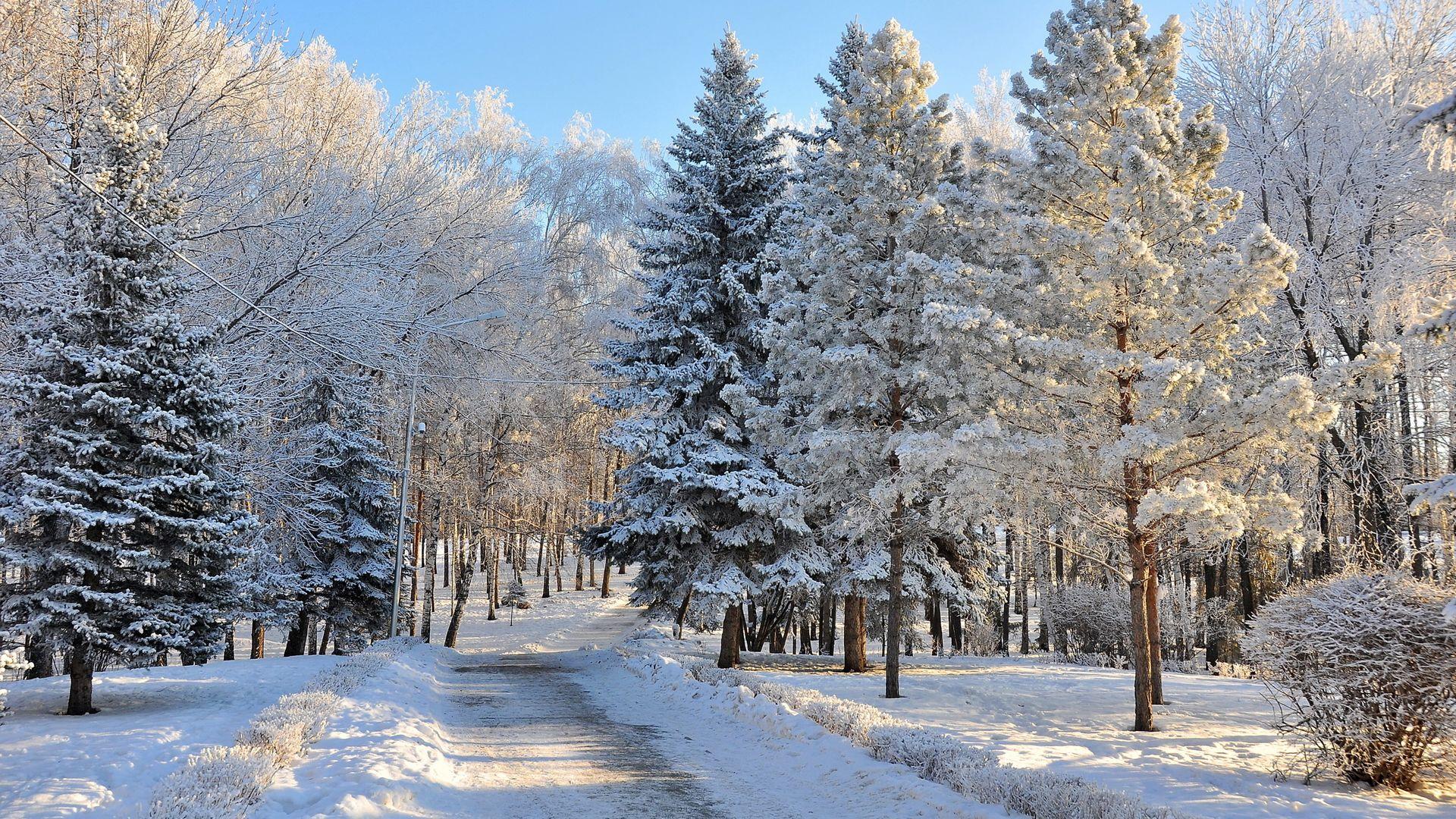 Beautiful snowy Russian winter