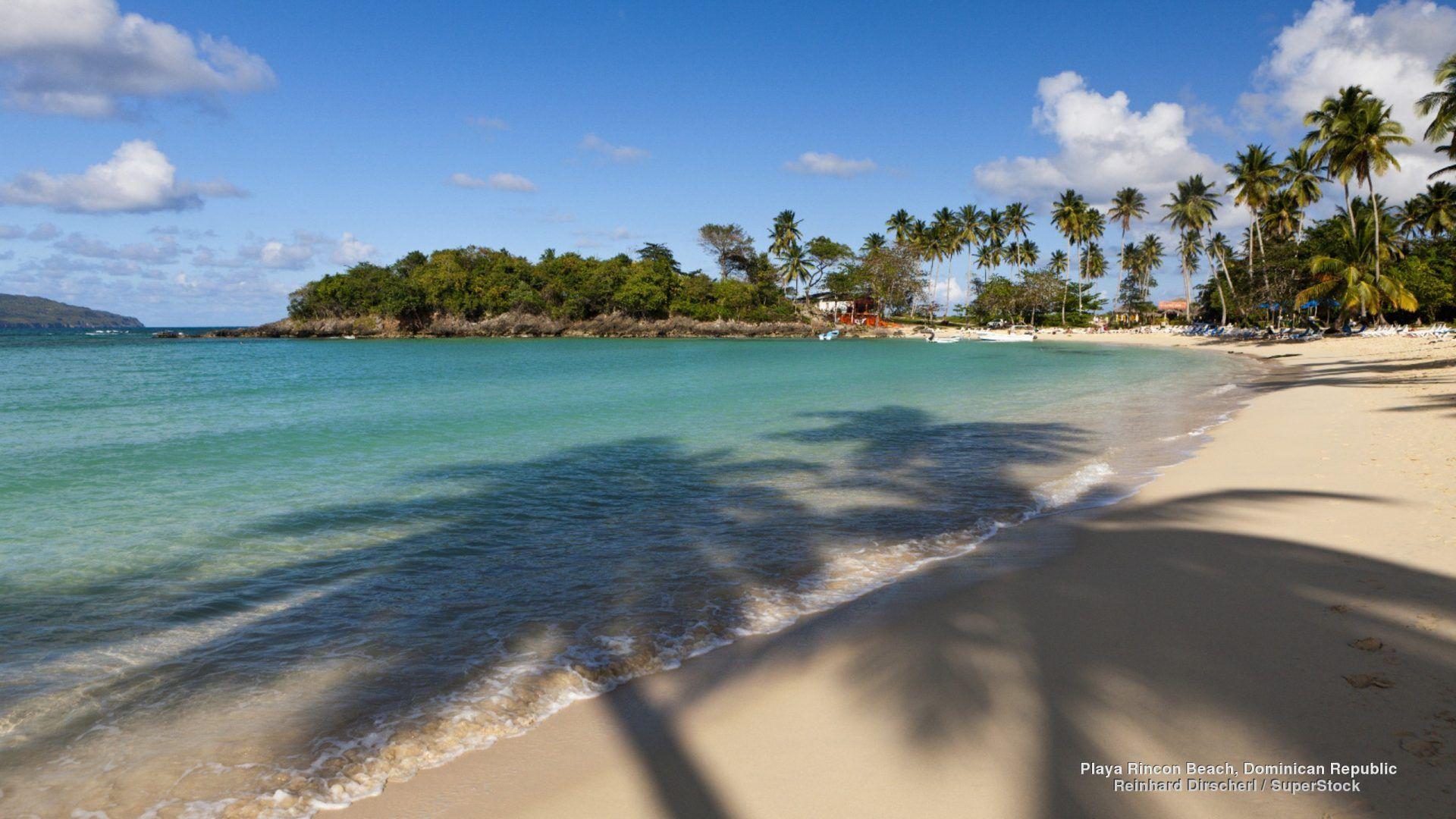 Dominican Tag wallpapers: Dominican Palm Playa Island Republic