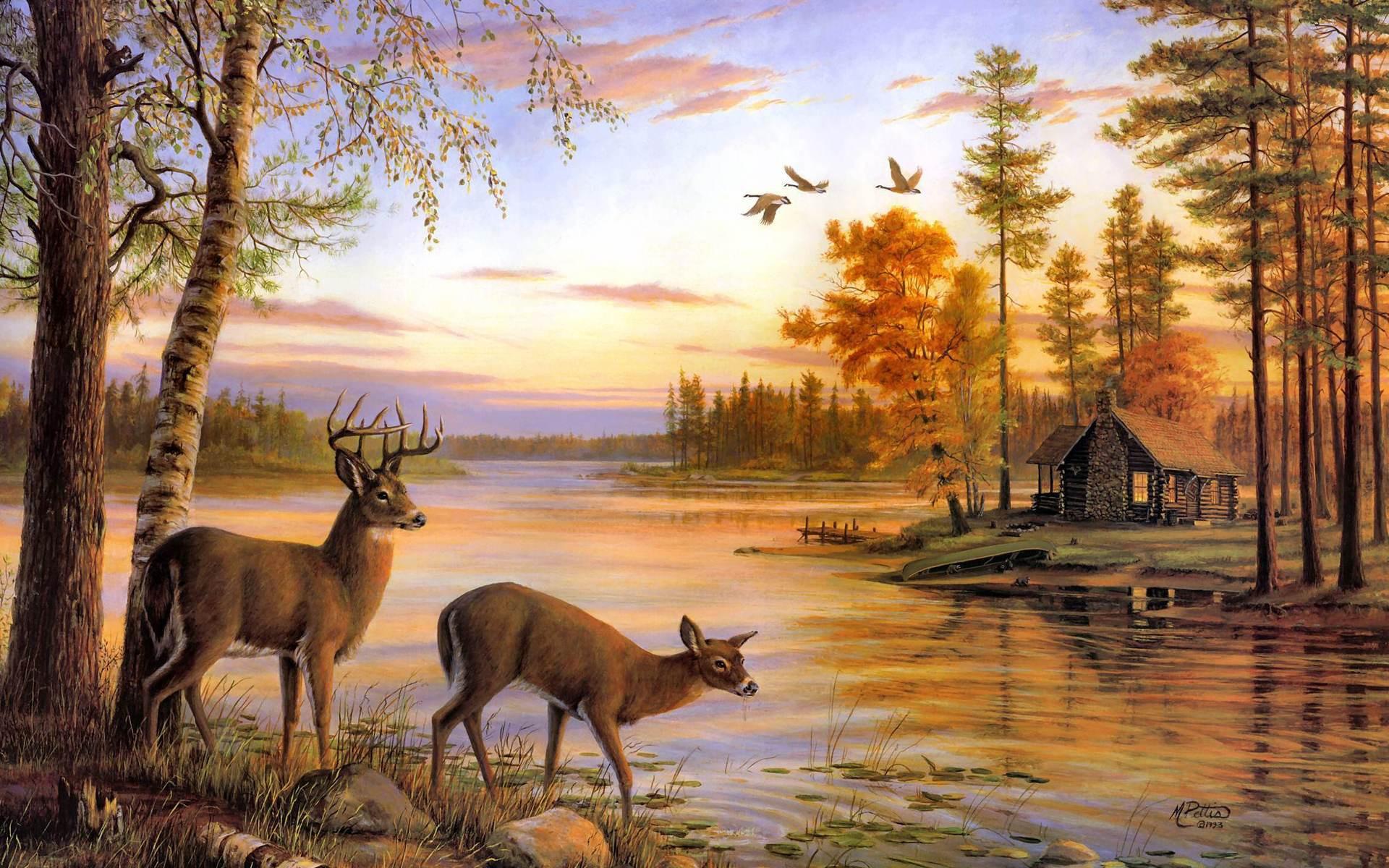 Beautiful Deer Wallpapers Best Of top 22 Most Beatiful Beautiful Deer