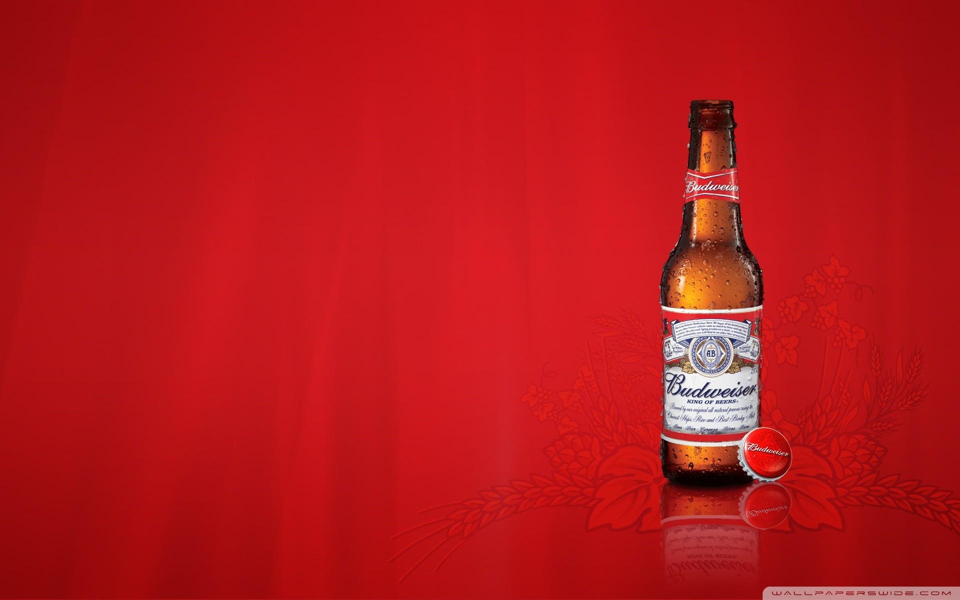 65+ Busch Beer Wallpapers