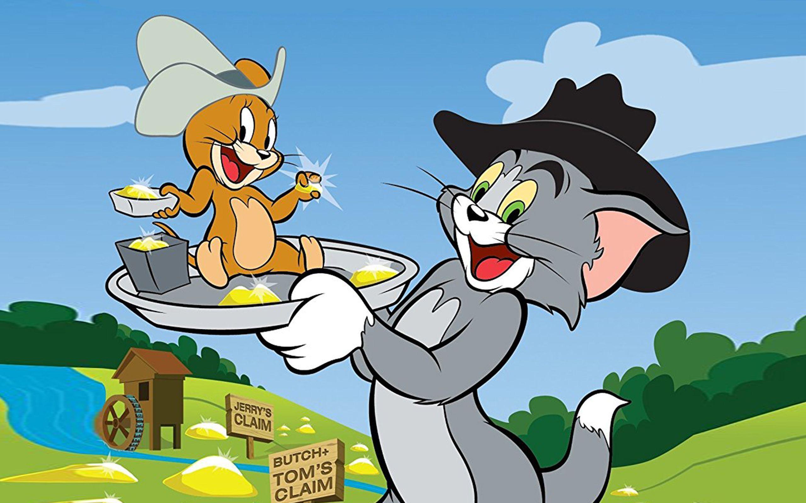 Tom and Jerry Wallpapers : Wallpapers13