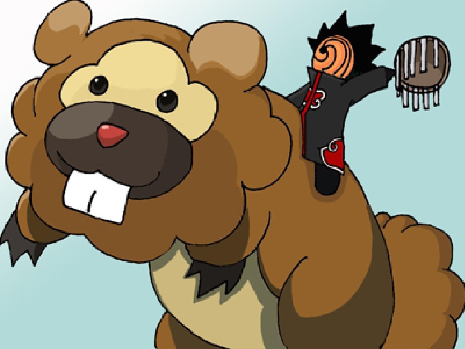 pokemon, Tobi, Bidoof :: Wallpapers