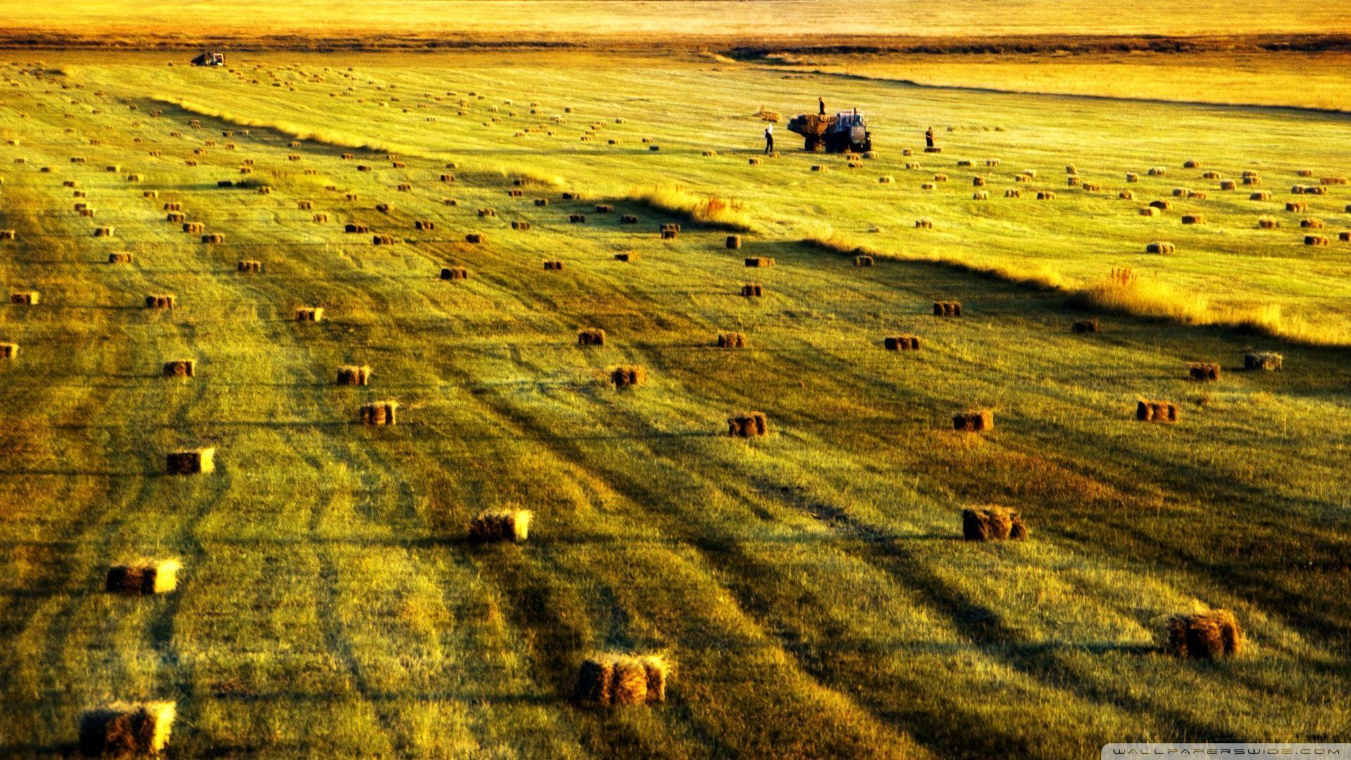 Armenia, Arpi Lake HD desktop wallpapers : Widescreen : High