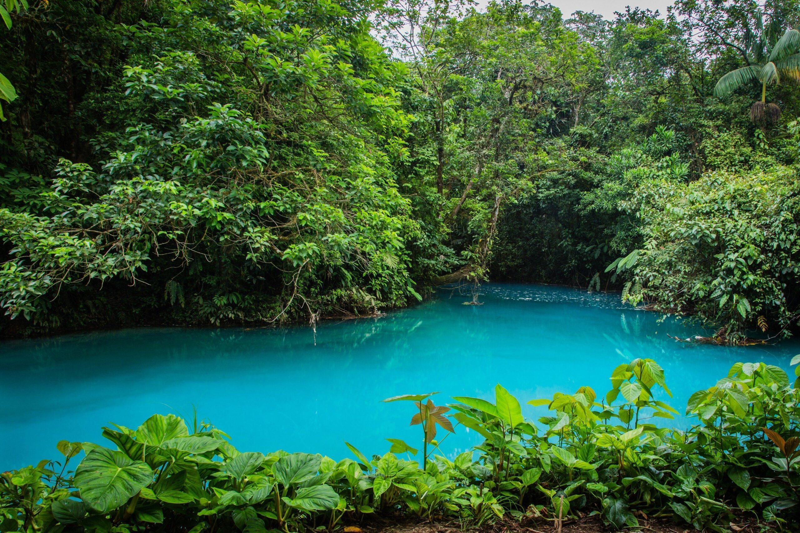 Costa Rica National Park wallpapers and image