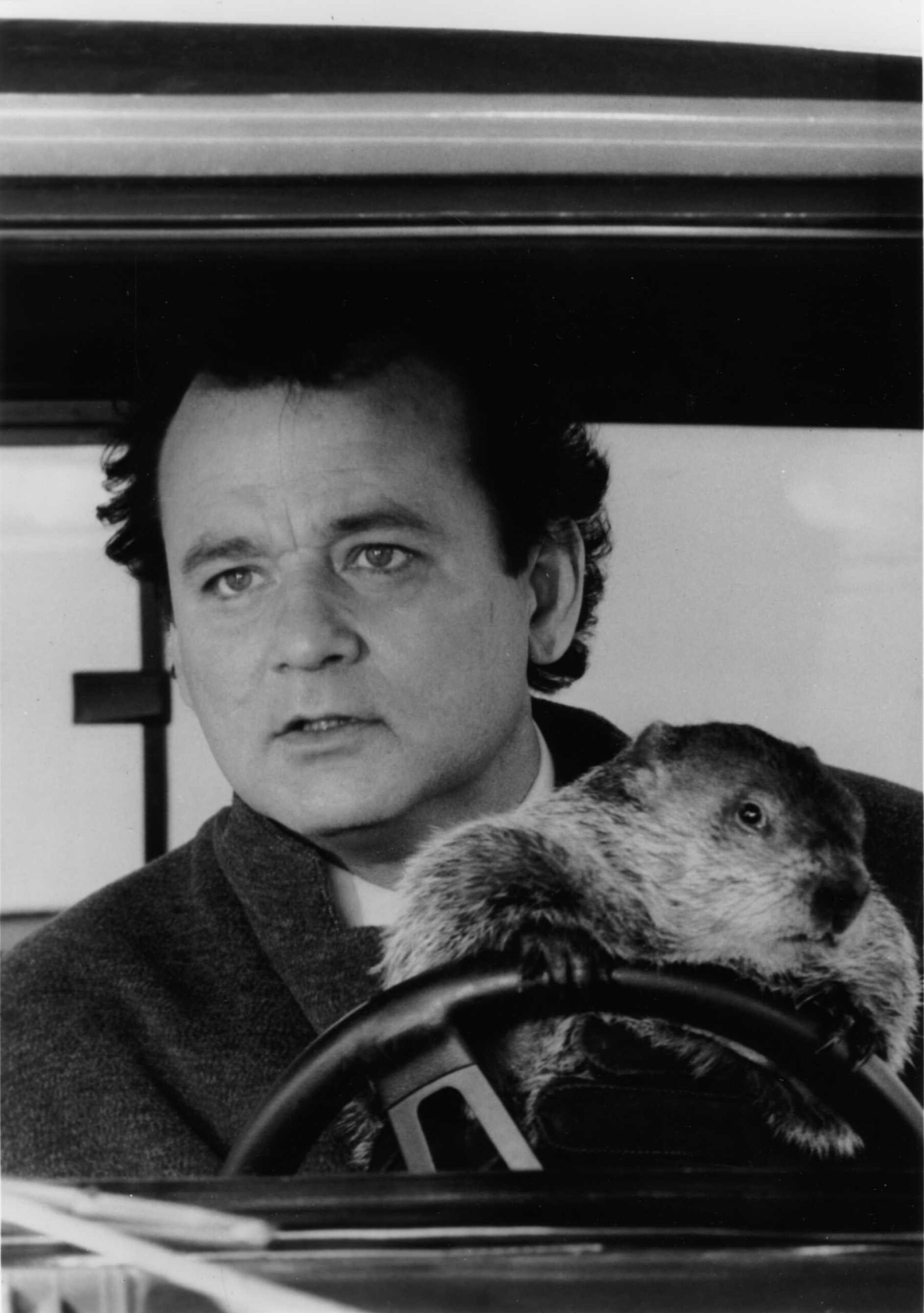 Groundhog Day Wallpapers High Quality