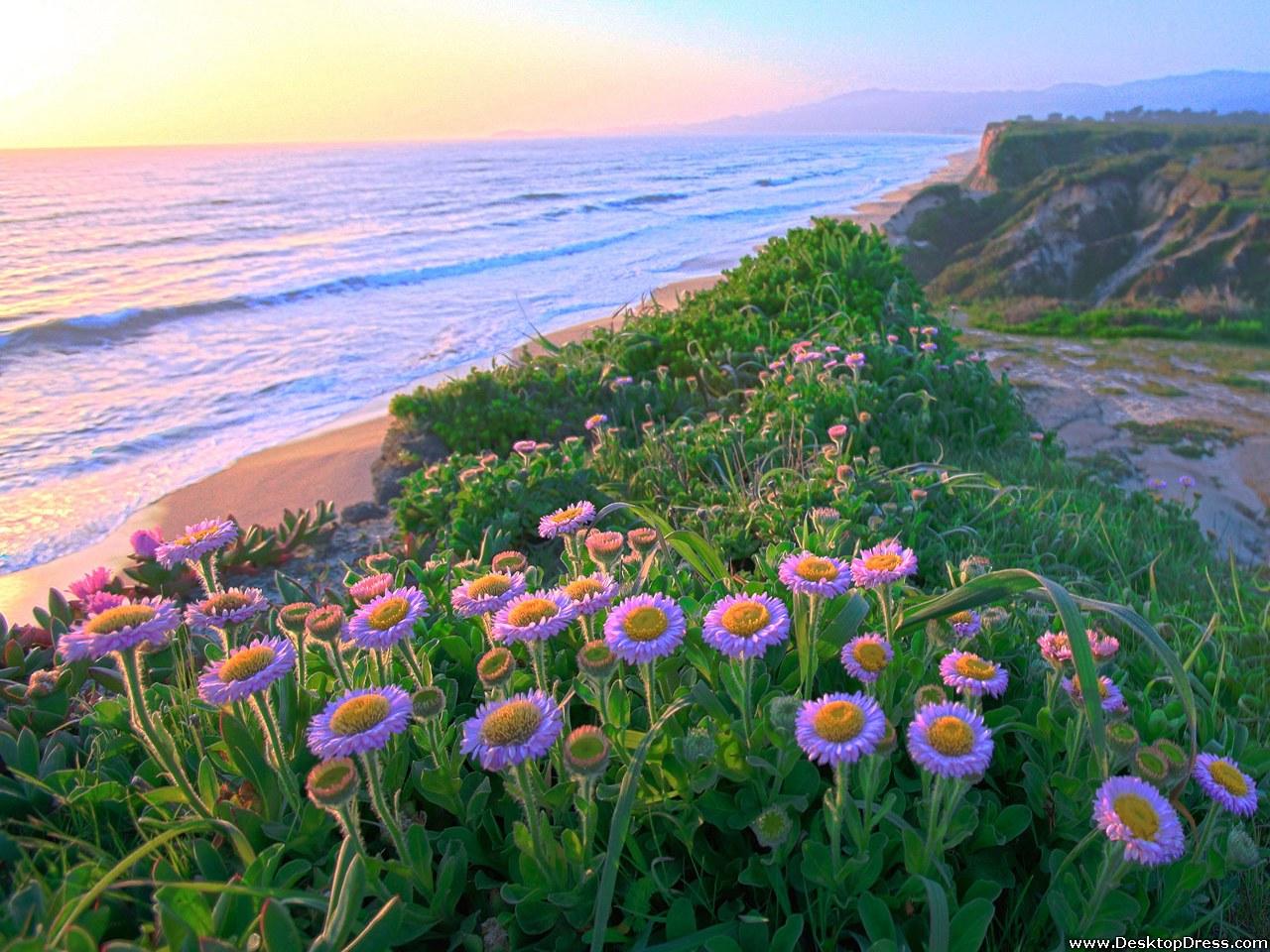 Desktop Wallpapers » Natural Backgrounds » Half Moon Bay » www