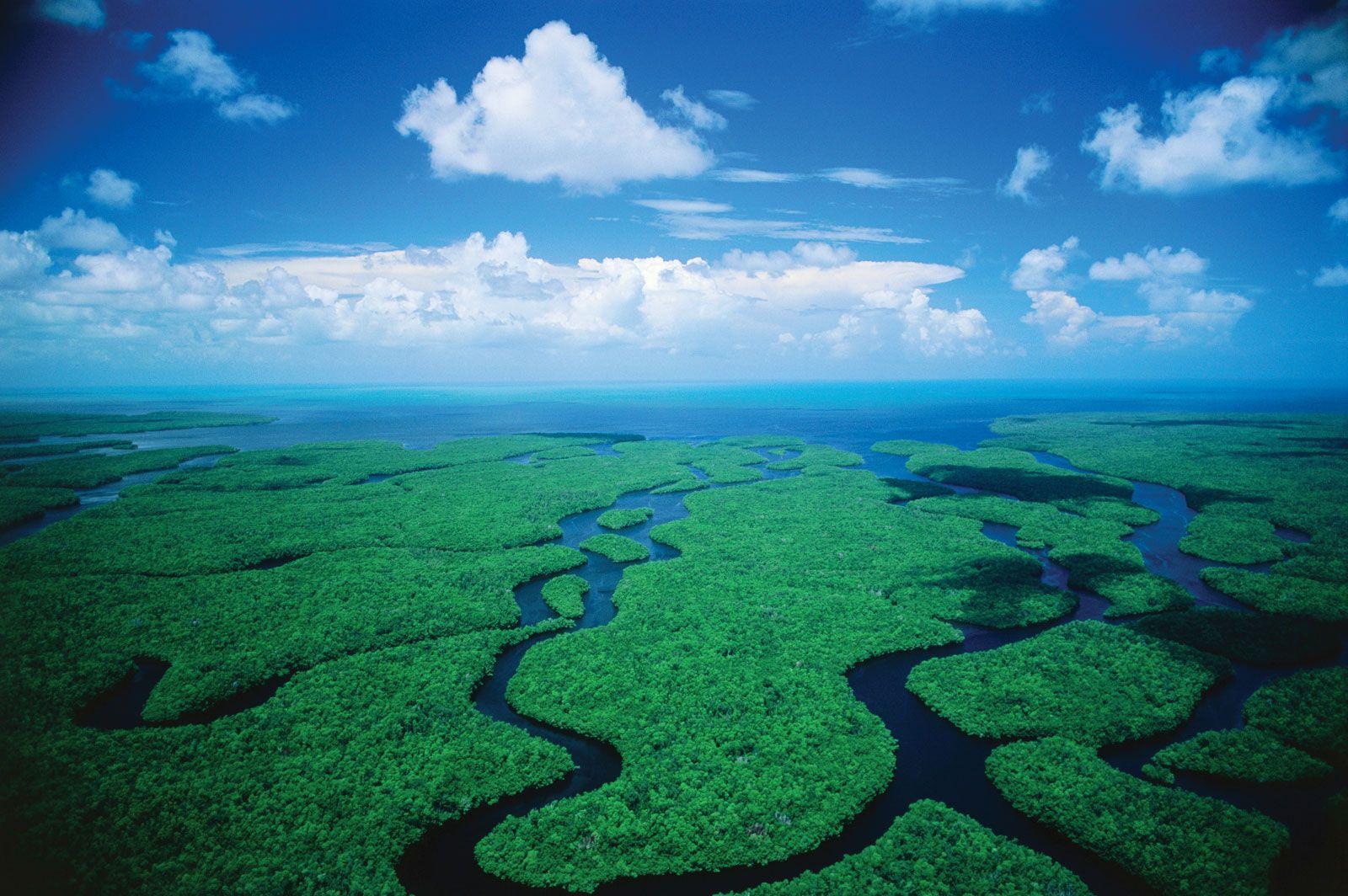 Exploring Everglades National Park in Miami