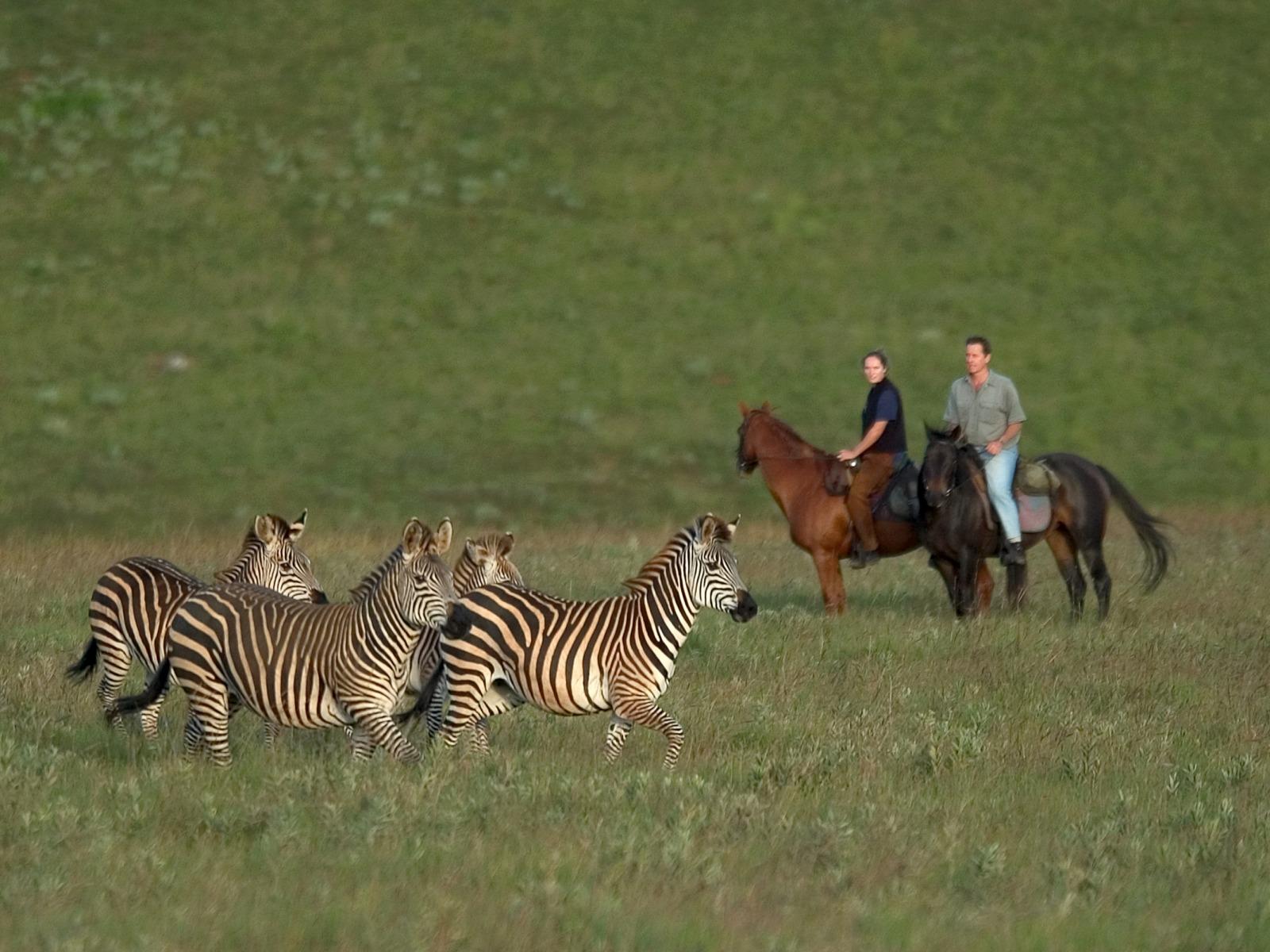 Horse riding in Nyika National Park