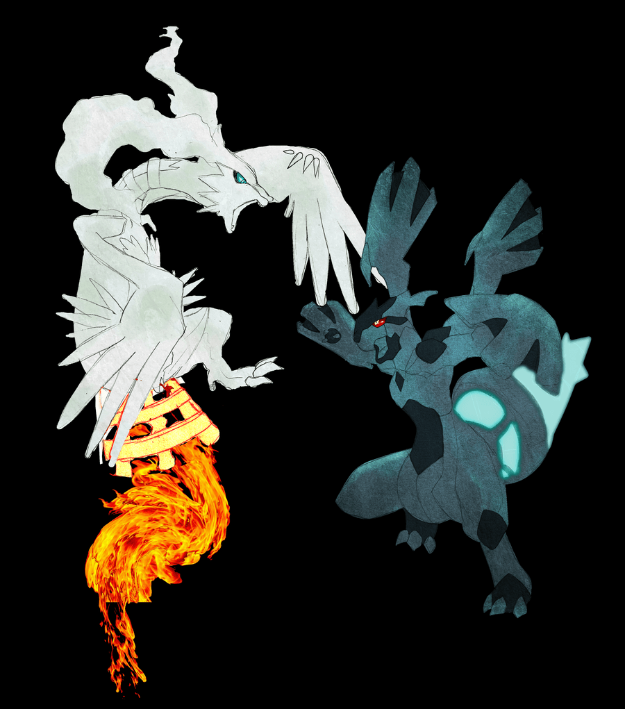 Pokemon Black/white image Zekrom and Reshiram HD wallpapers and