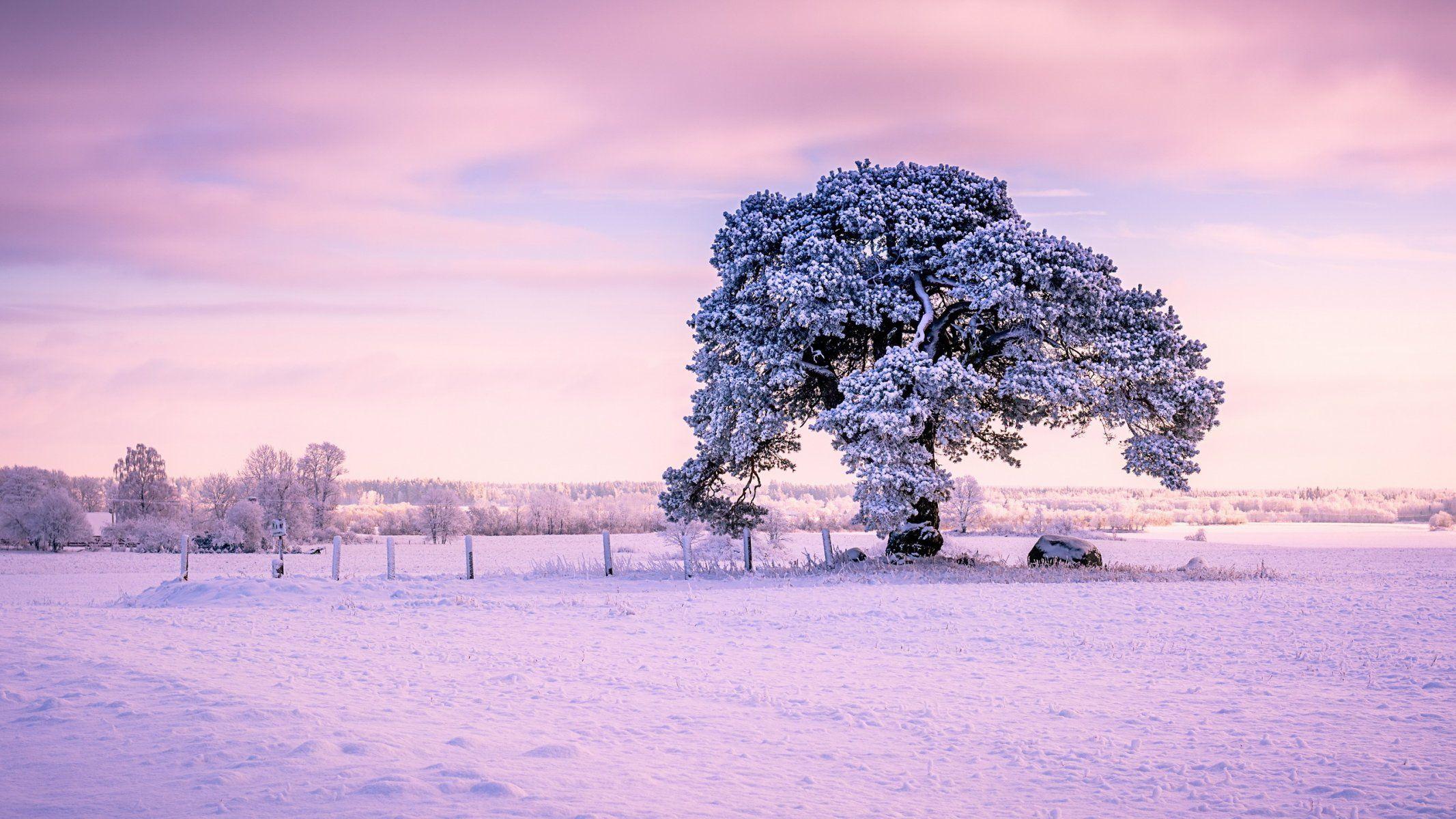 sunrise sunset nature landscape estonia HD wallpapers