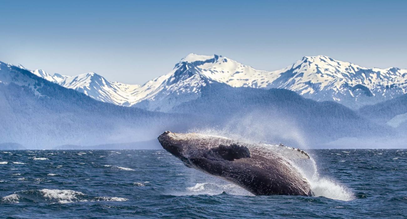 Glacier Bay National Park