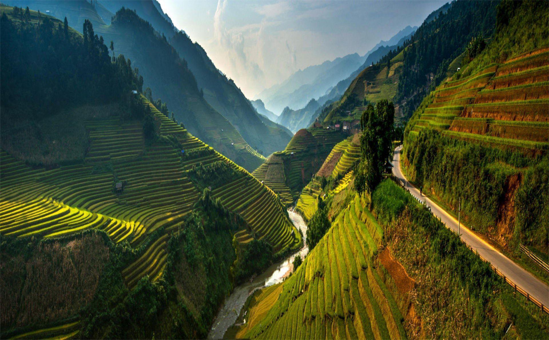 Stunning Rice Terraces