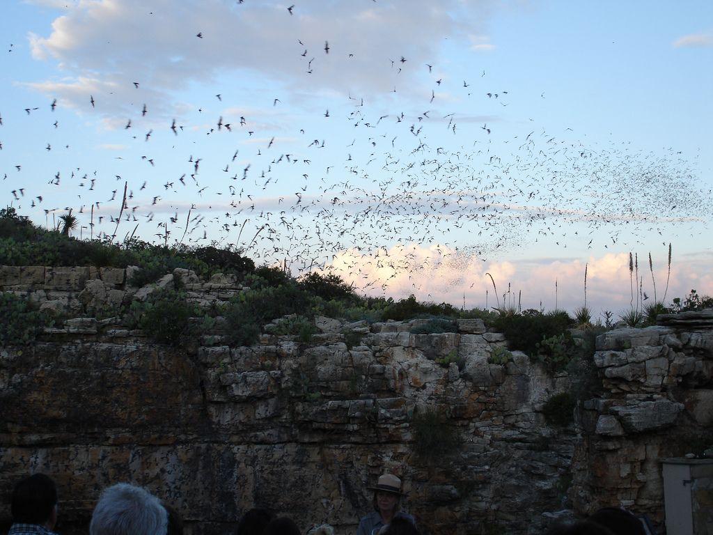 Carlsbad Caverns National Park