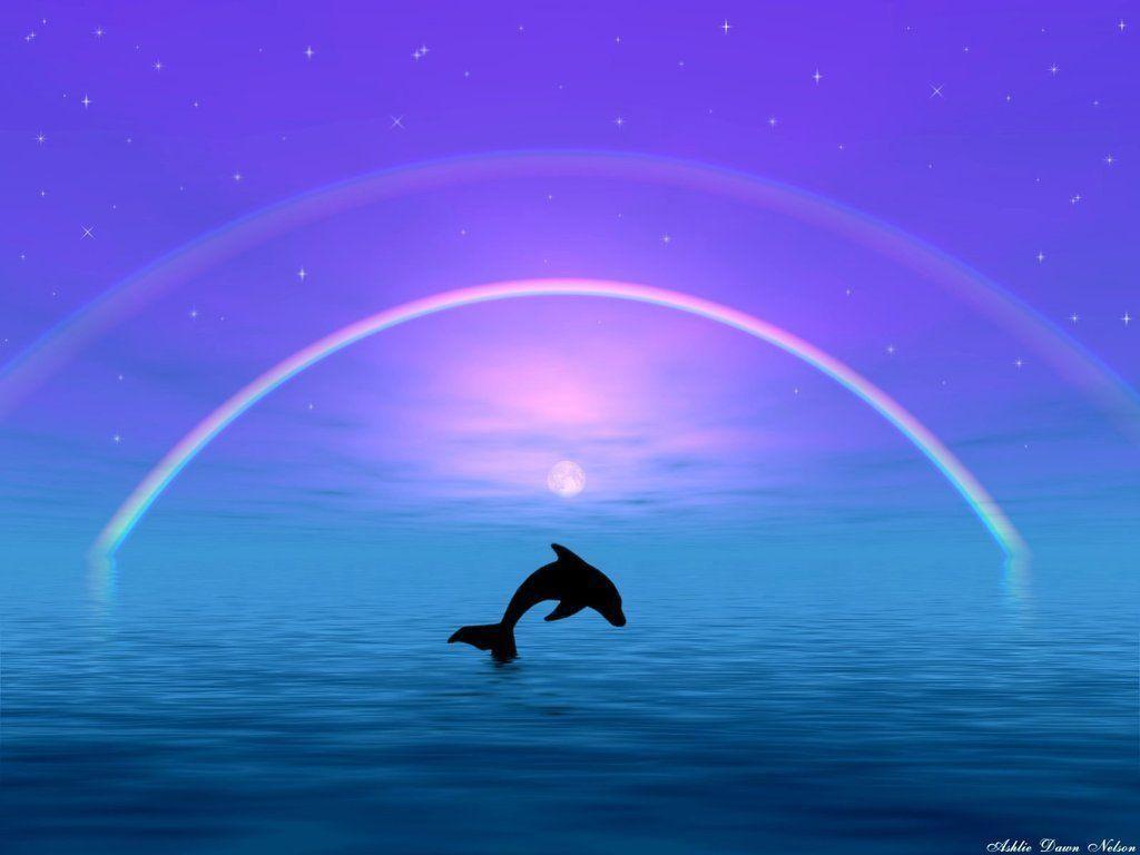 Dolphin Wallpapers 44 Desktop Backgrounds