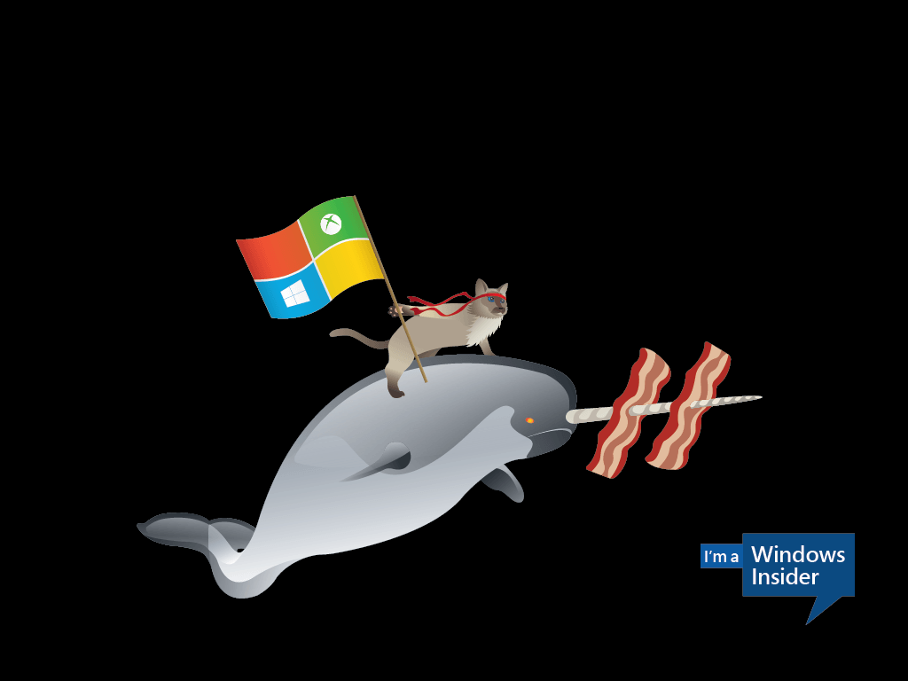 Celebrate the Windows 10 ‘ninjacat’ meme with new Microsoft desktop