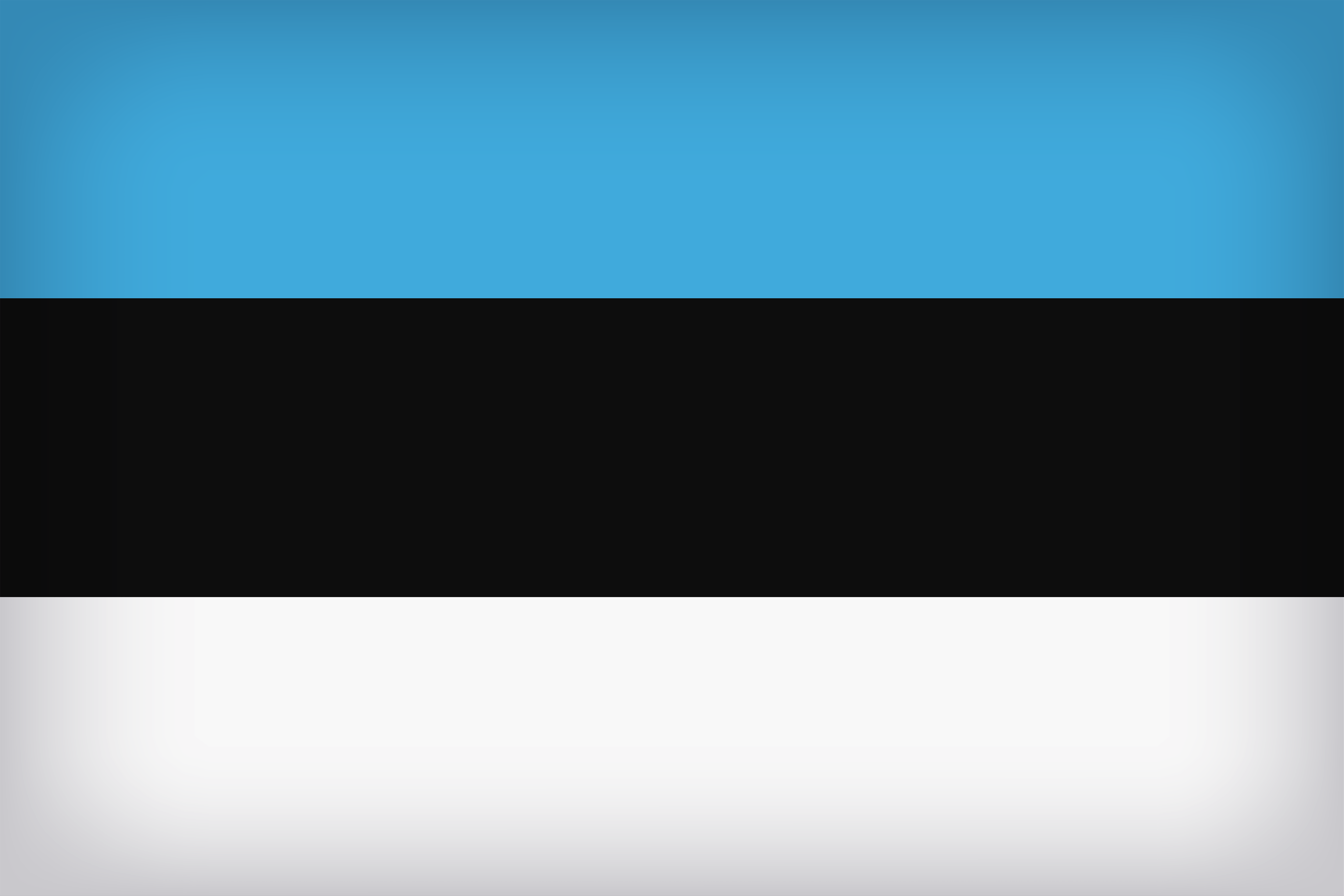 Estonia Large Flag