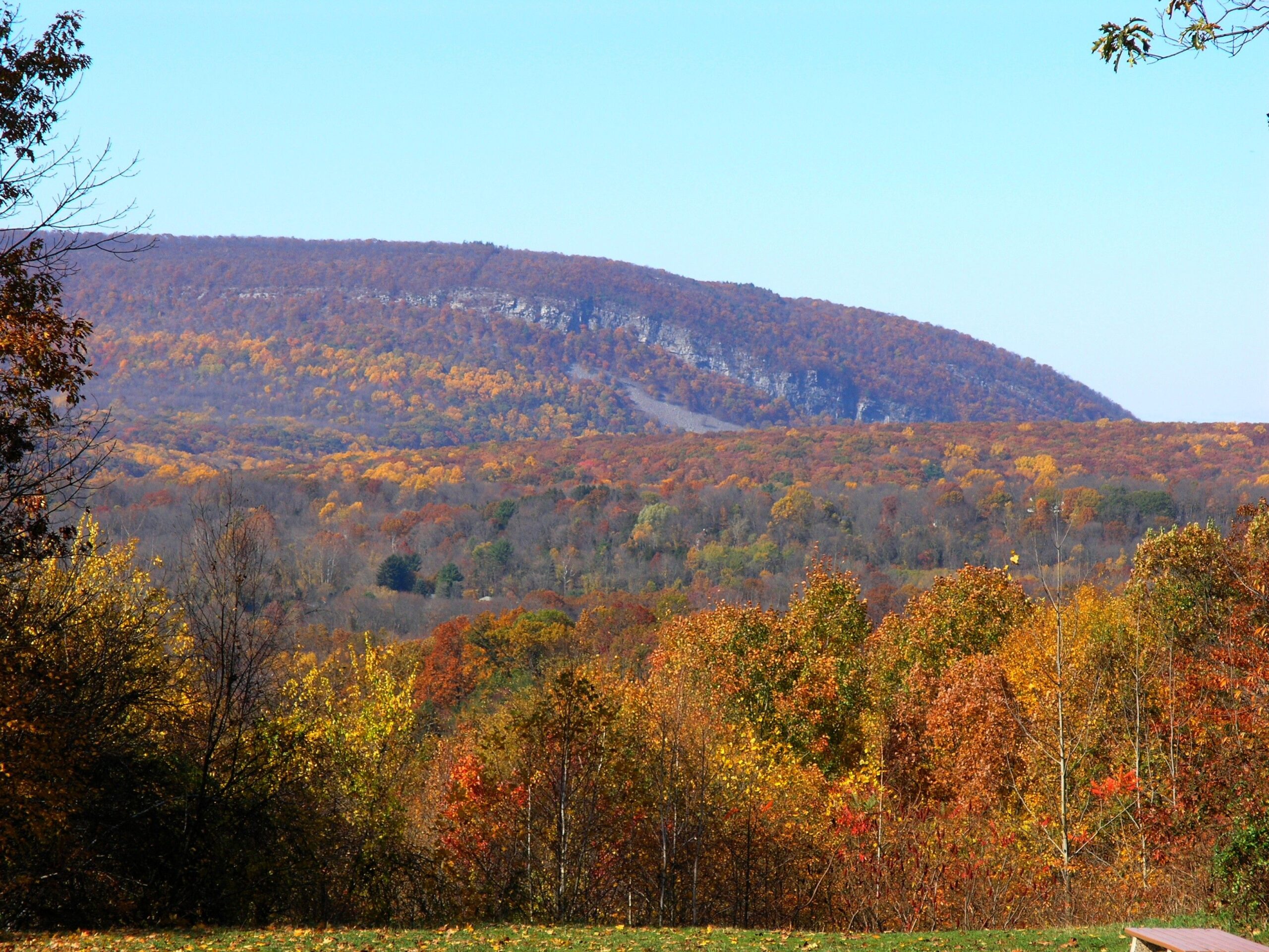 Mountain: Delaware Water Gap Oct Pa Mountian Fall Leaves Wallpapers