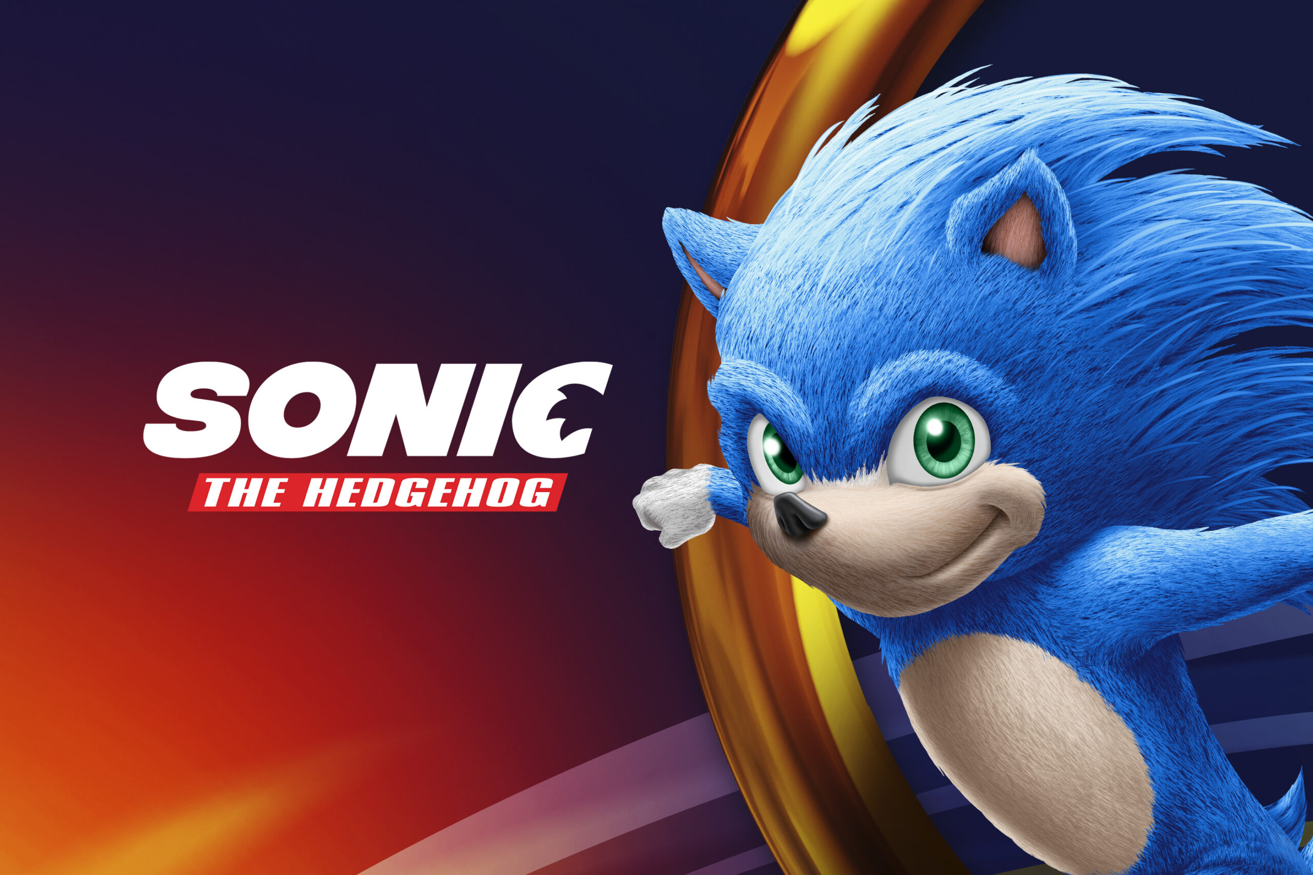 19+] Sonic The Hedgehog Movie 2019 Wallpapers