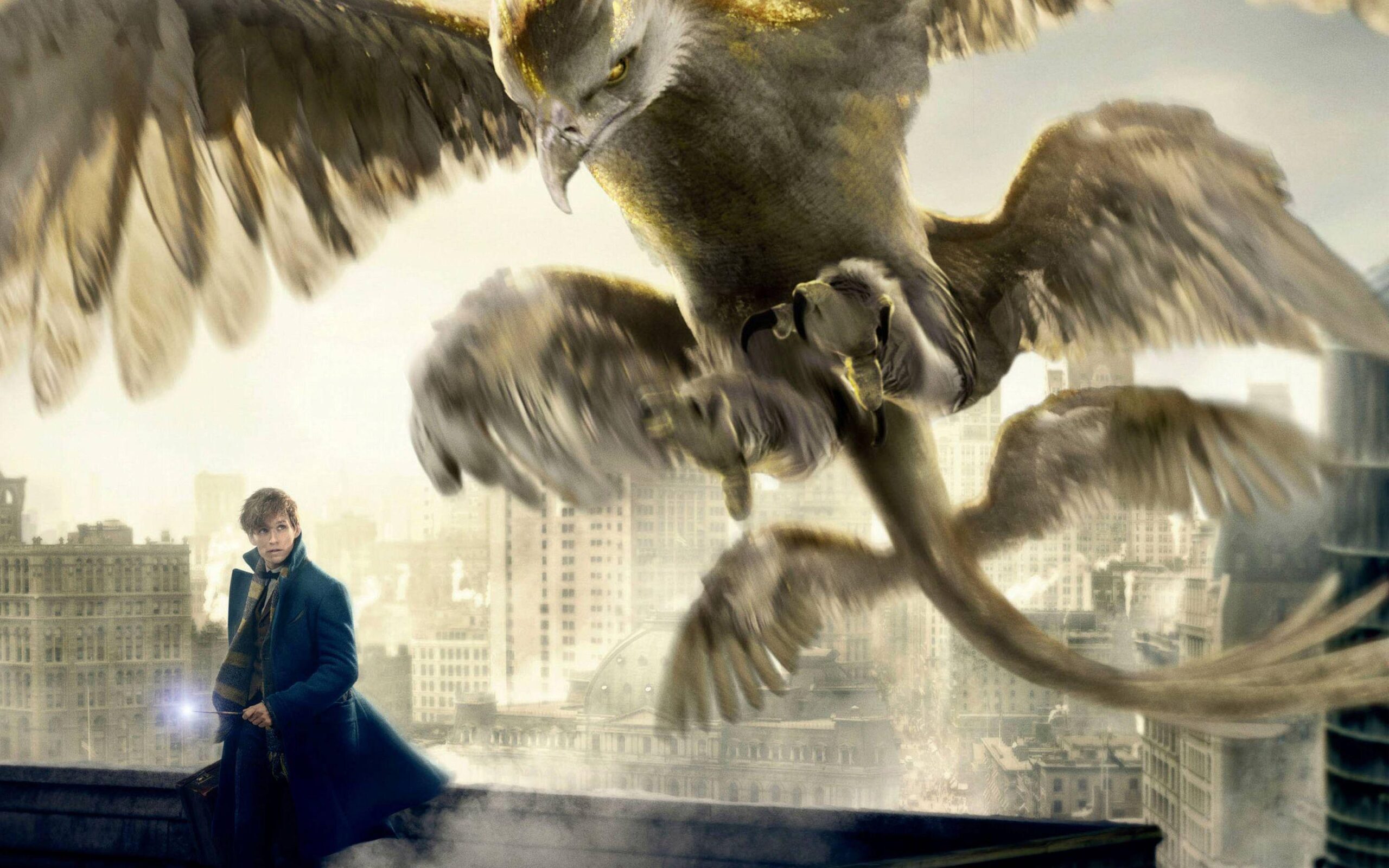 17 Fantastic Beasts and Where to Find Them HD Wallpapers