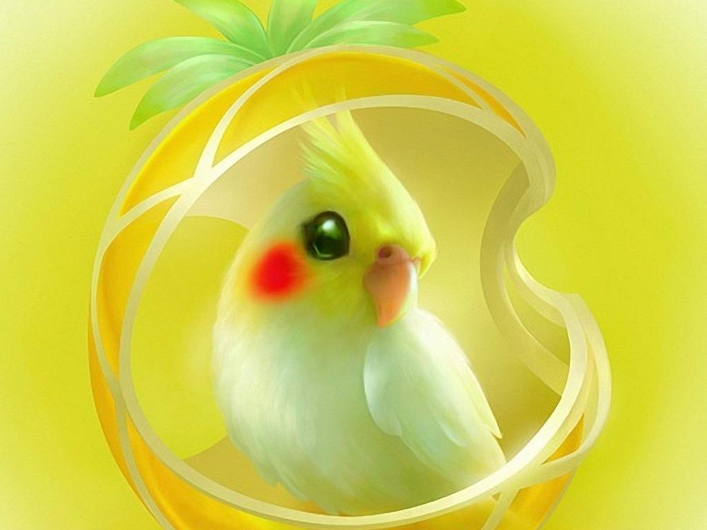 39455570 cute parrot wallpapers