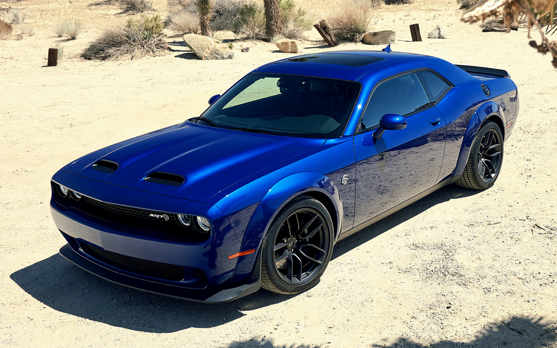 2019 Dodge Challenger SRT Hellcat Widebody