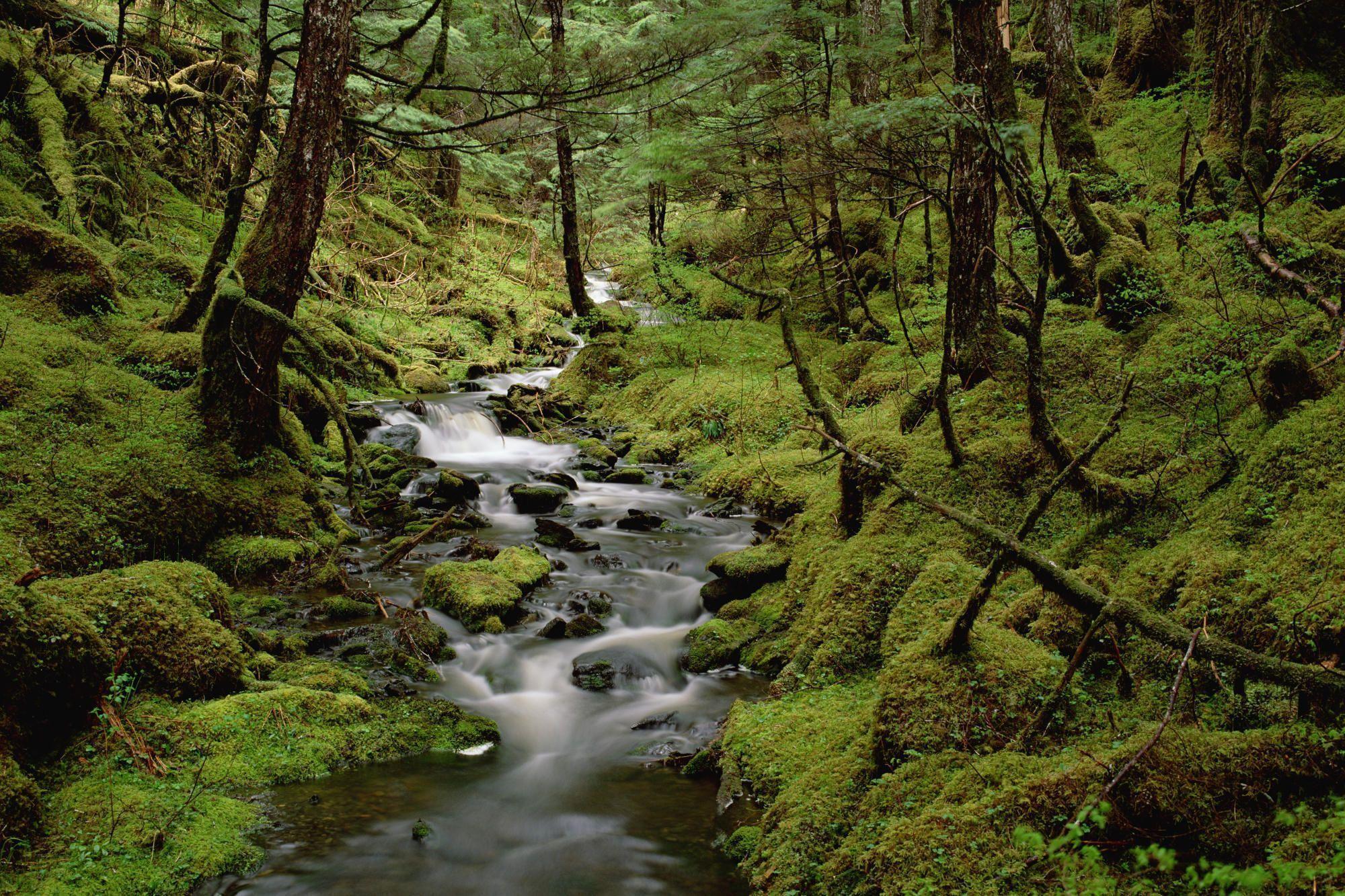 EYAK LAKE alaska picture, EYAK LAKE alaska photo, EYAK LAKE alaska