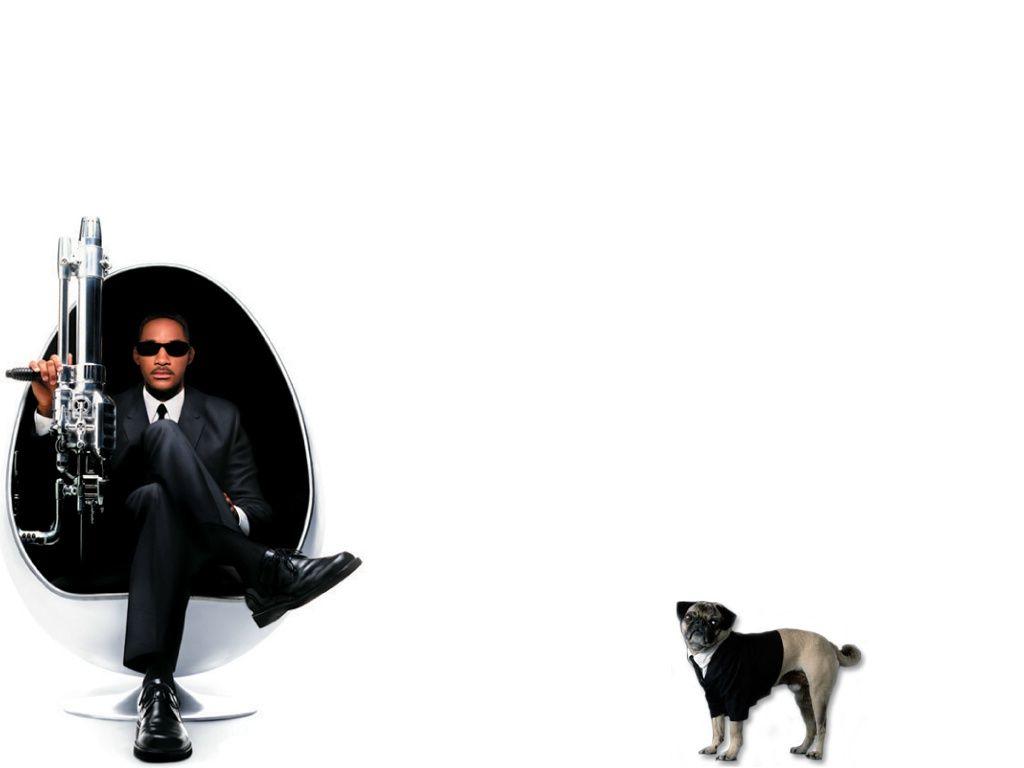 Download Wallpapers white dog actor will smith men in black 2 ii