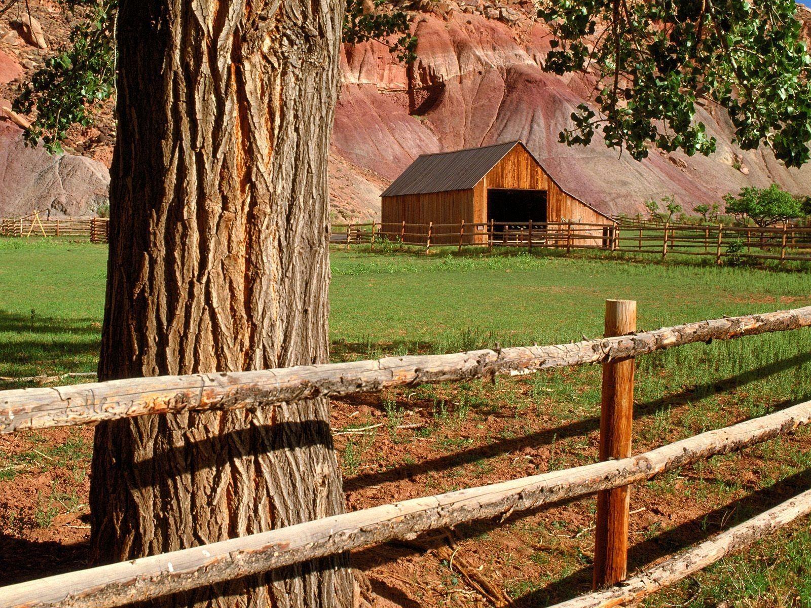 Houses: Cottage Meadow Fruita Barn Capitol Reef National Park Utah