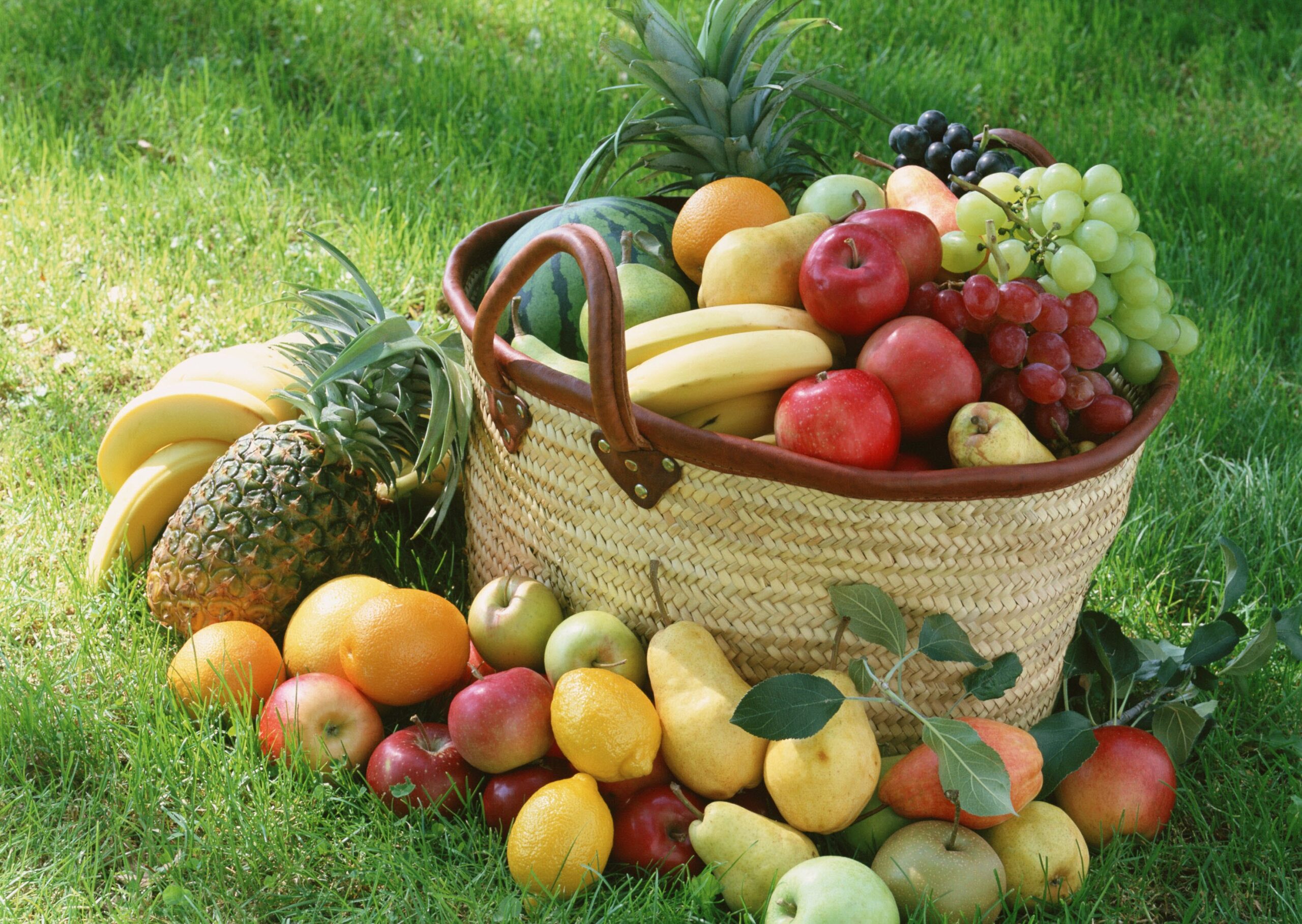 Fruit Basket HD Wallpapers