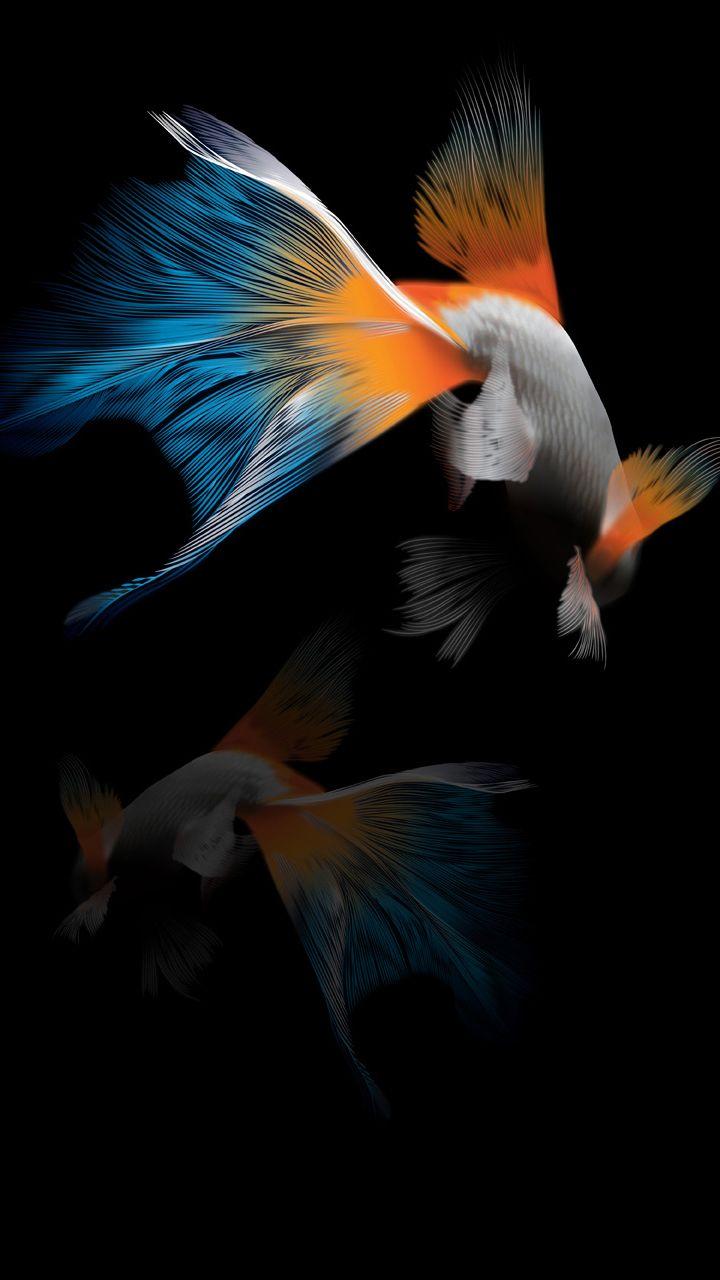 Goldfish HTC Desire 816 wallpapers