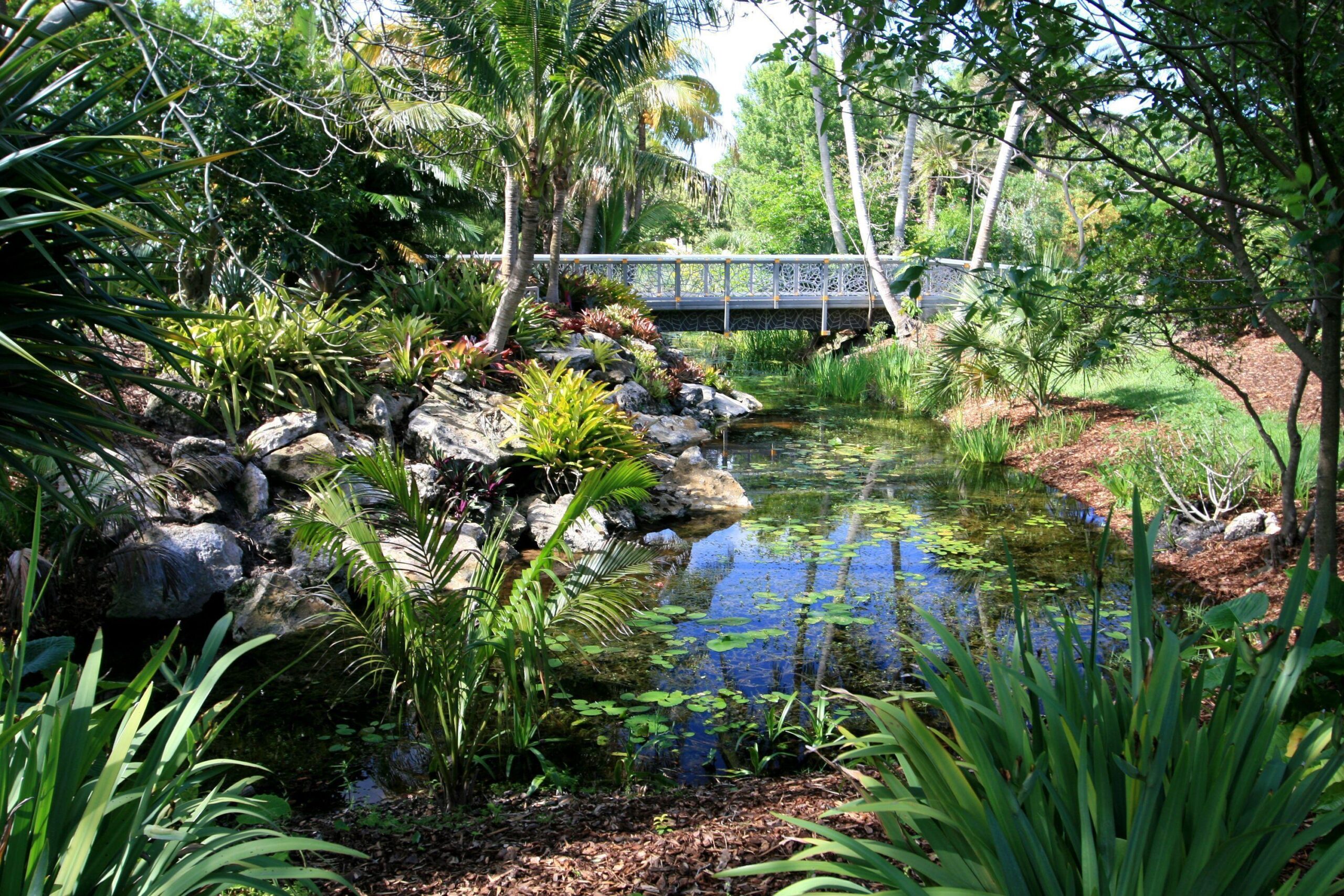 Photo USA Missouri Botanical Garden Nature Bridges Gardens