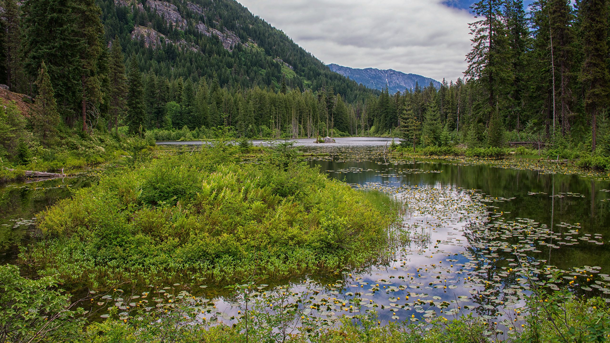 Image USA Howard Lake North Cascades National Park Nature