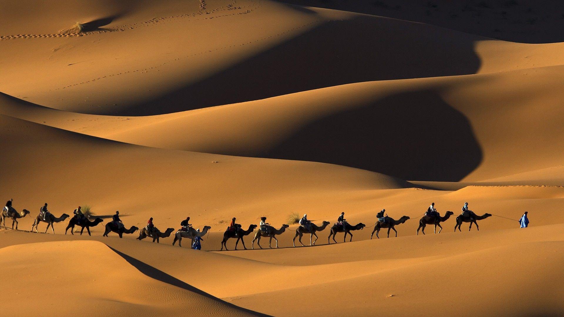 Sahara Desert Wallpapers