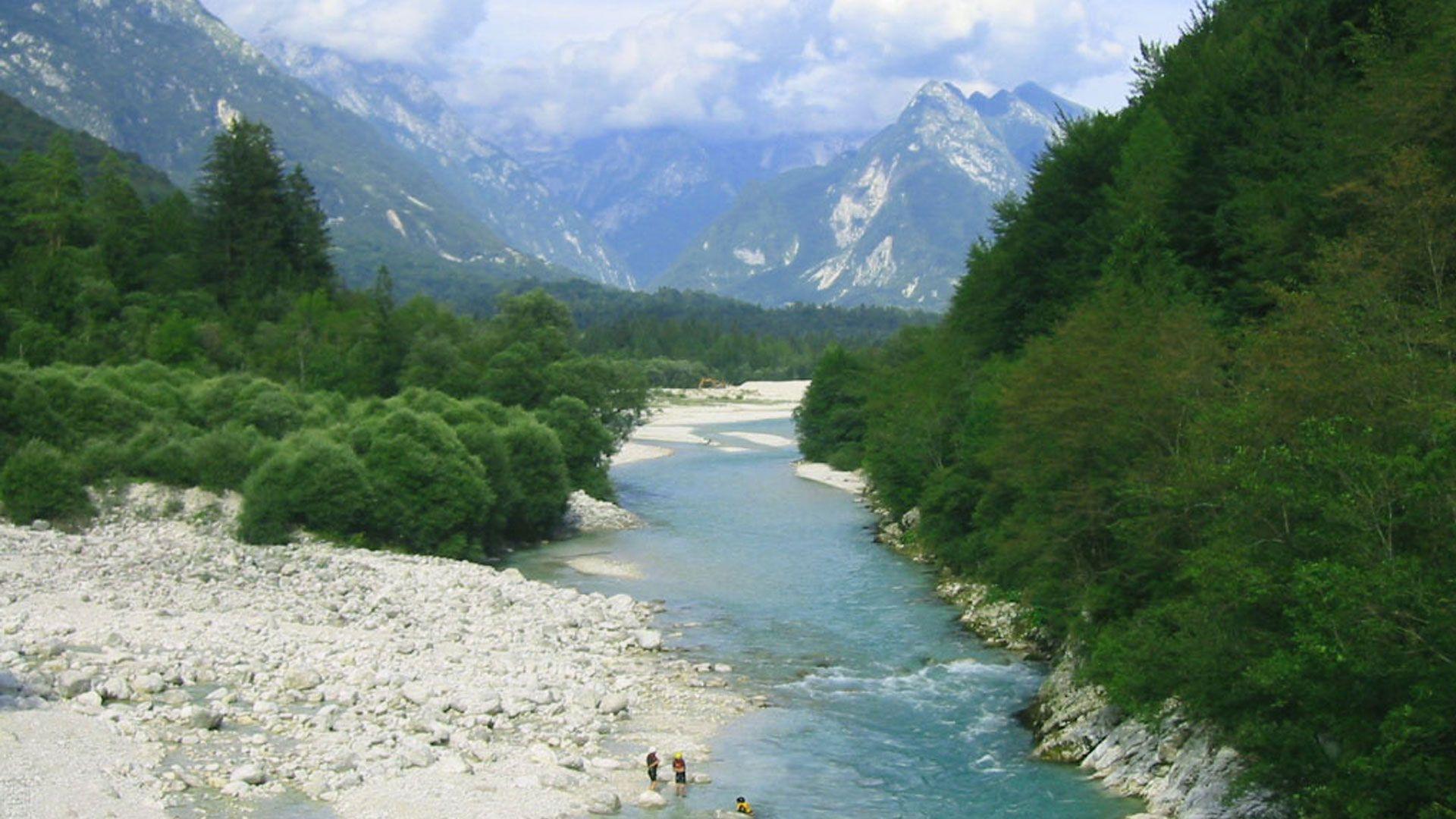 River Lined with Trees into Mountains desktop wallpapers