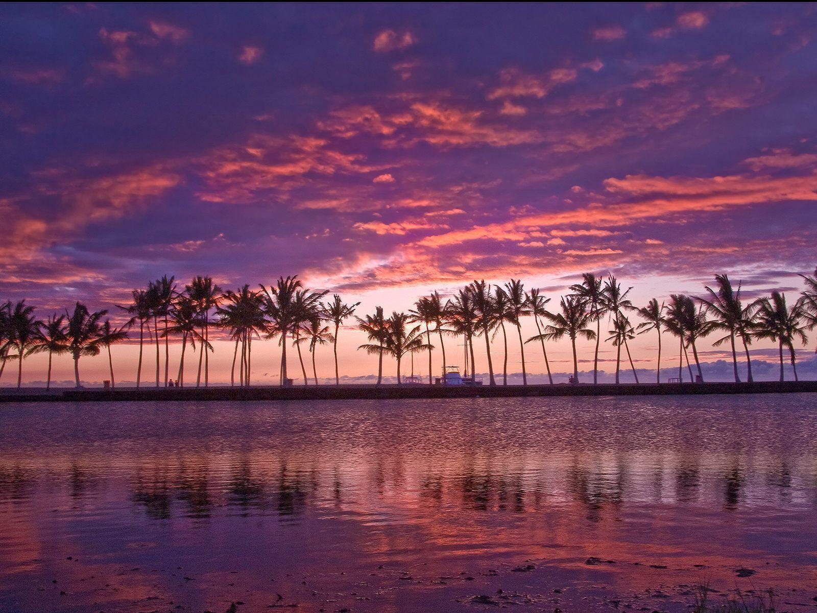 Mirrors Hawaiian Pond Hawaii Wallpapers