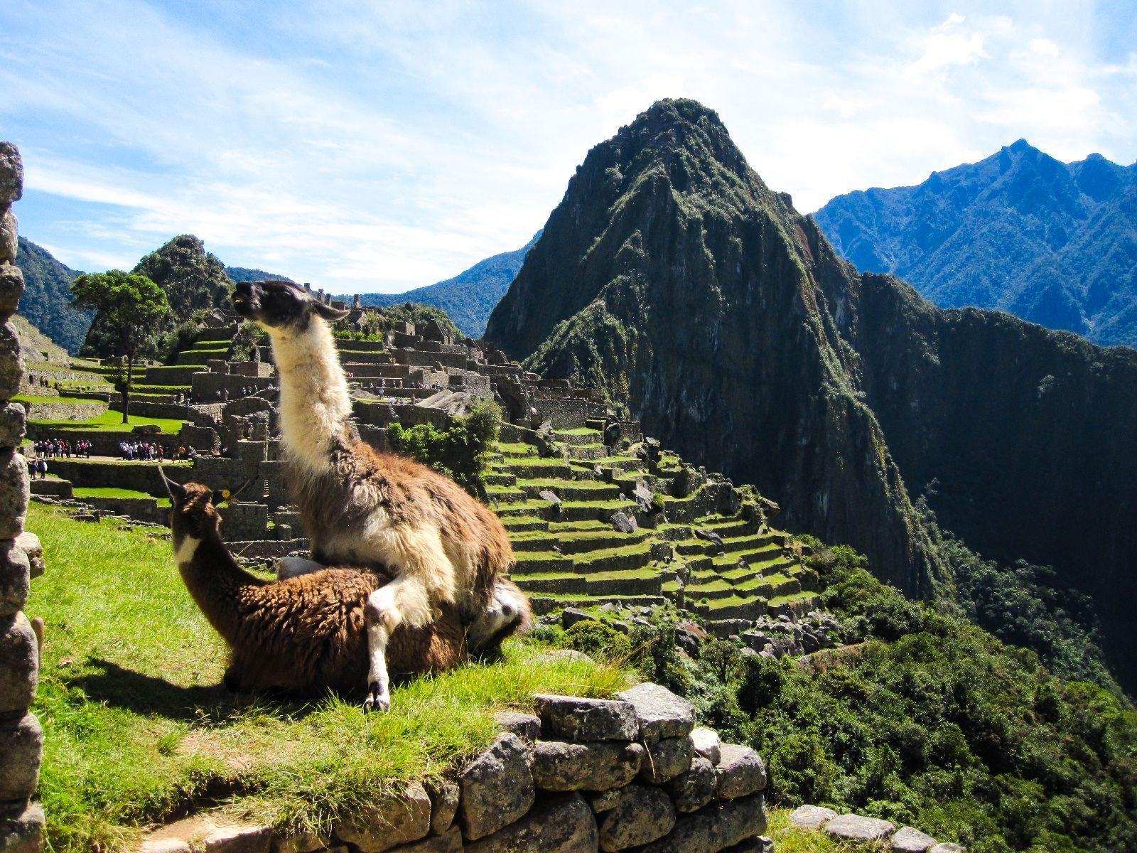 I was browsing the web for Machu Picchu wallpapers when suddenly