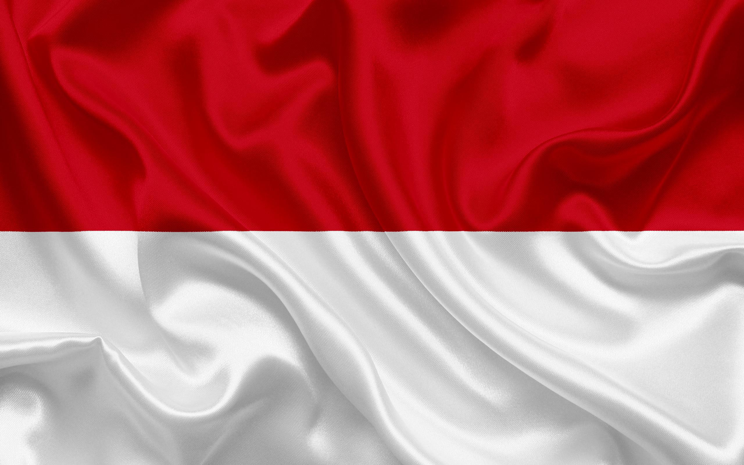 Download wallpapers flag of Monaco, Europe, silk flag, Monaco for