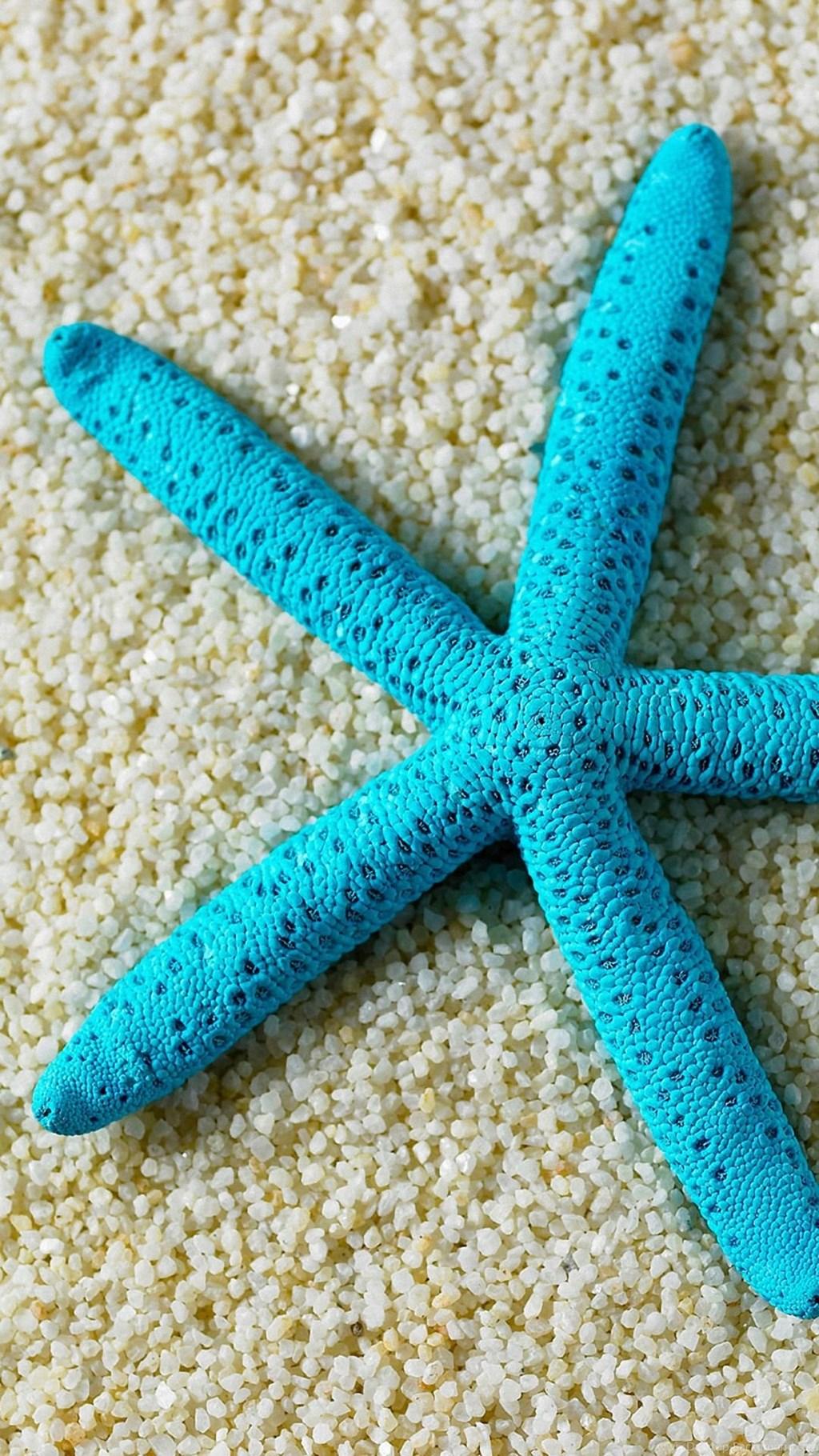 Beach Starfish Samsung Galaxy A7 Wallpapers HD Desktop